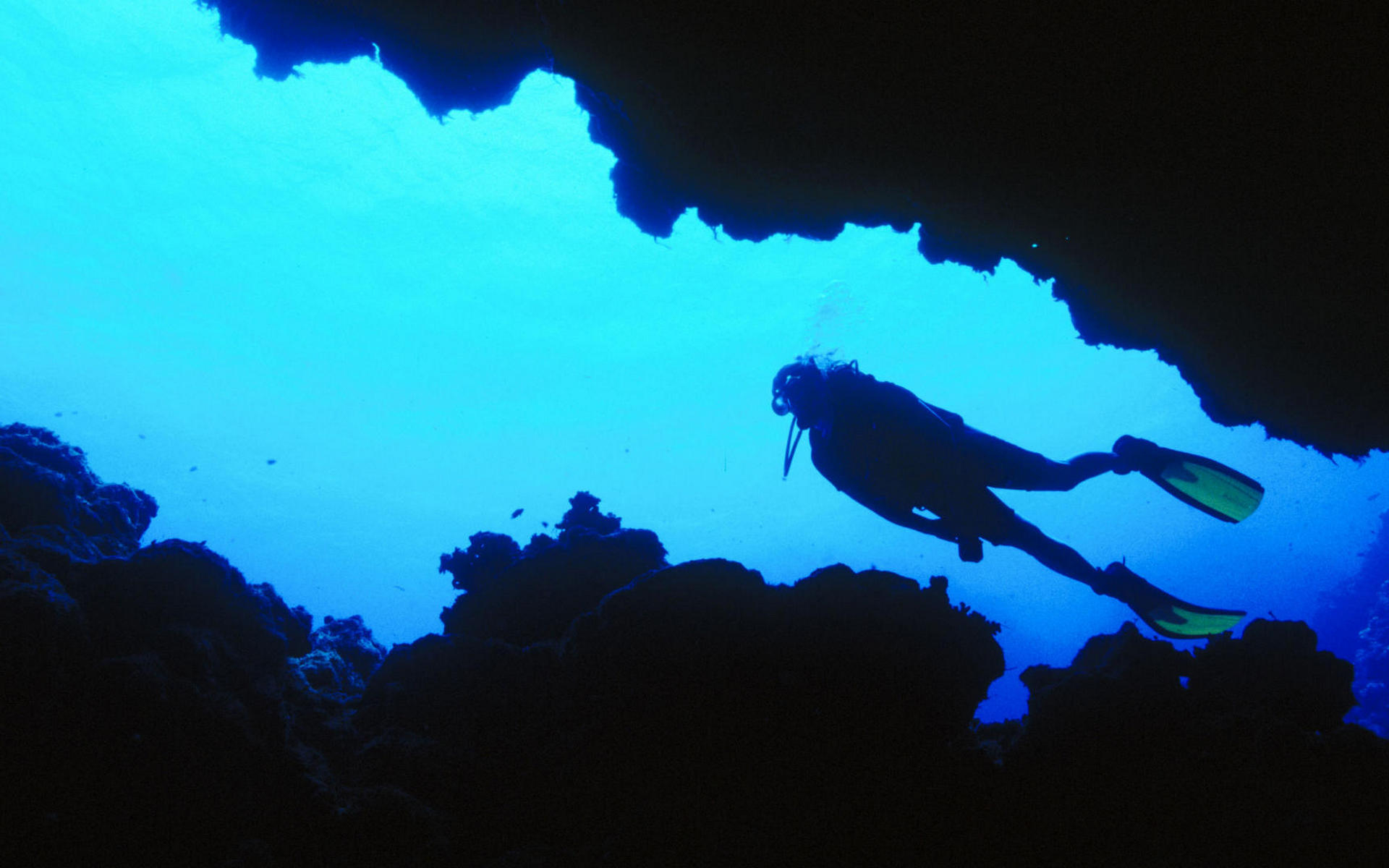 Wallpapers sea reefs diver on the desktop