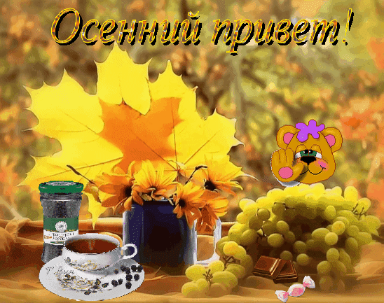 主题为杯 茶 萄的明信片免费下载