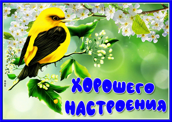 Free postcard Good cheer with the yellow bird