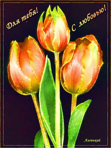 Postcard on the theme flowers lovingly tulips download for free