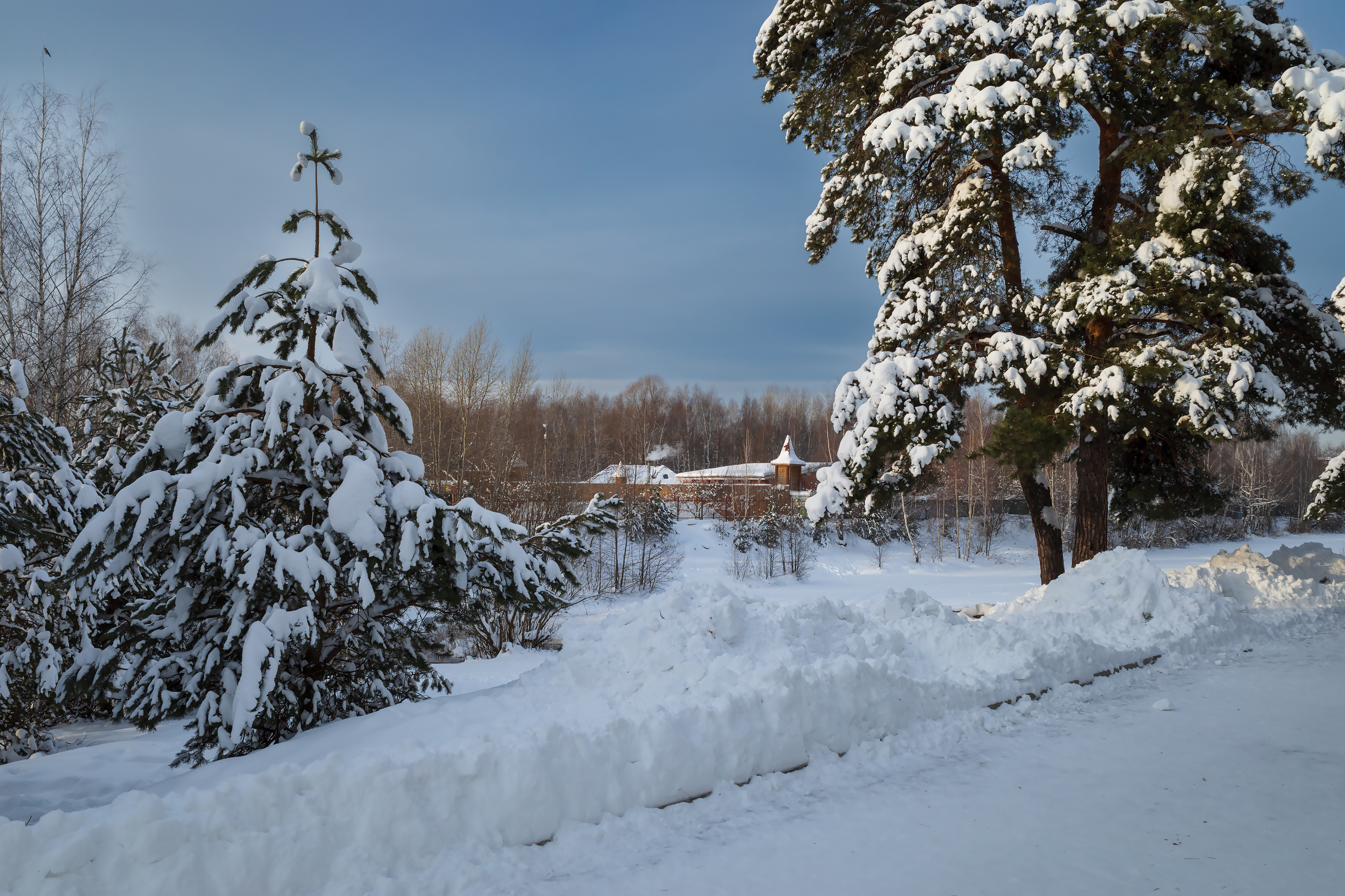 免费照片冬季城市公园