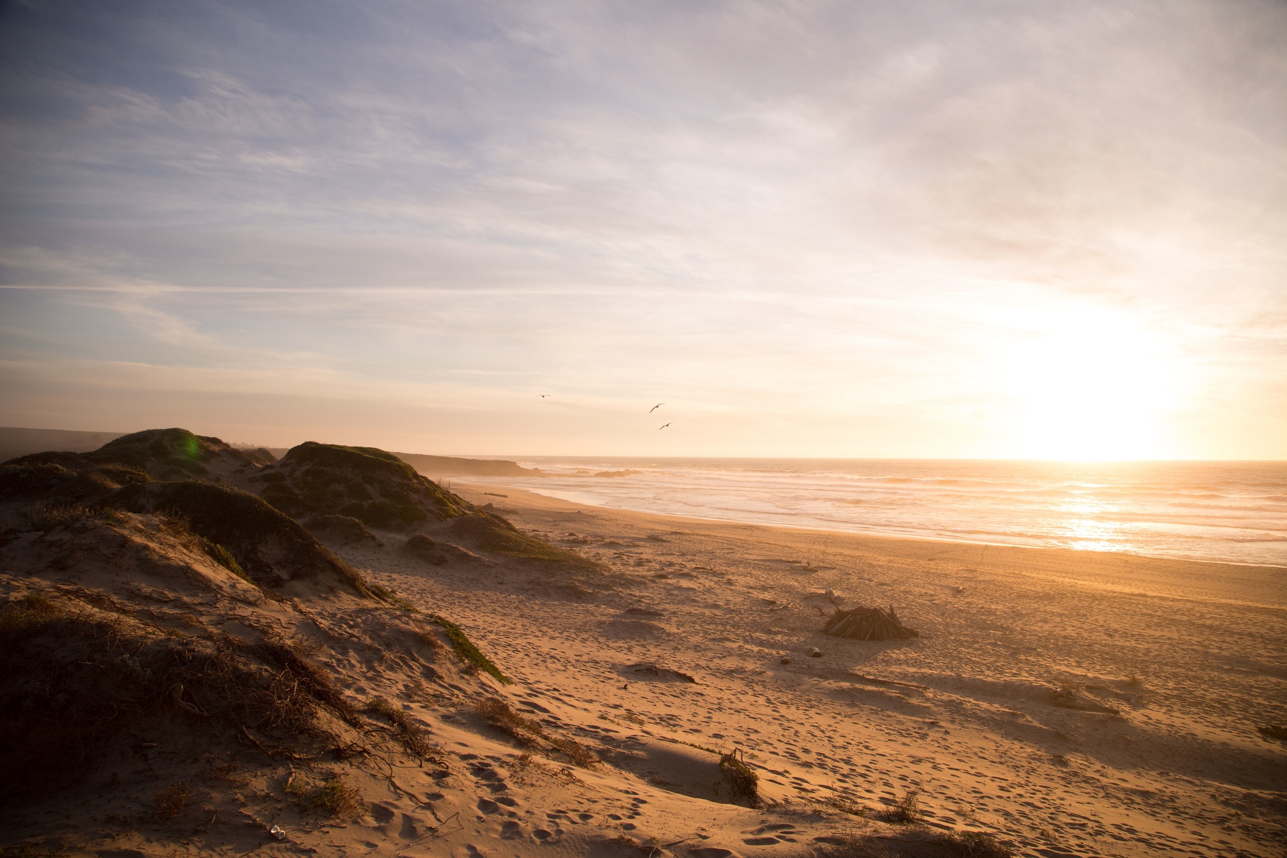 Free photo A sandy beach on the oceanfront at sunset with seagulls