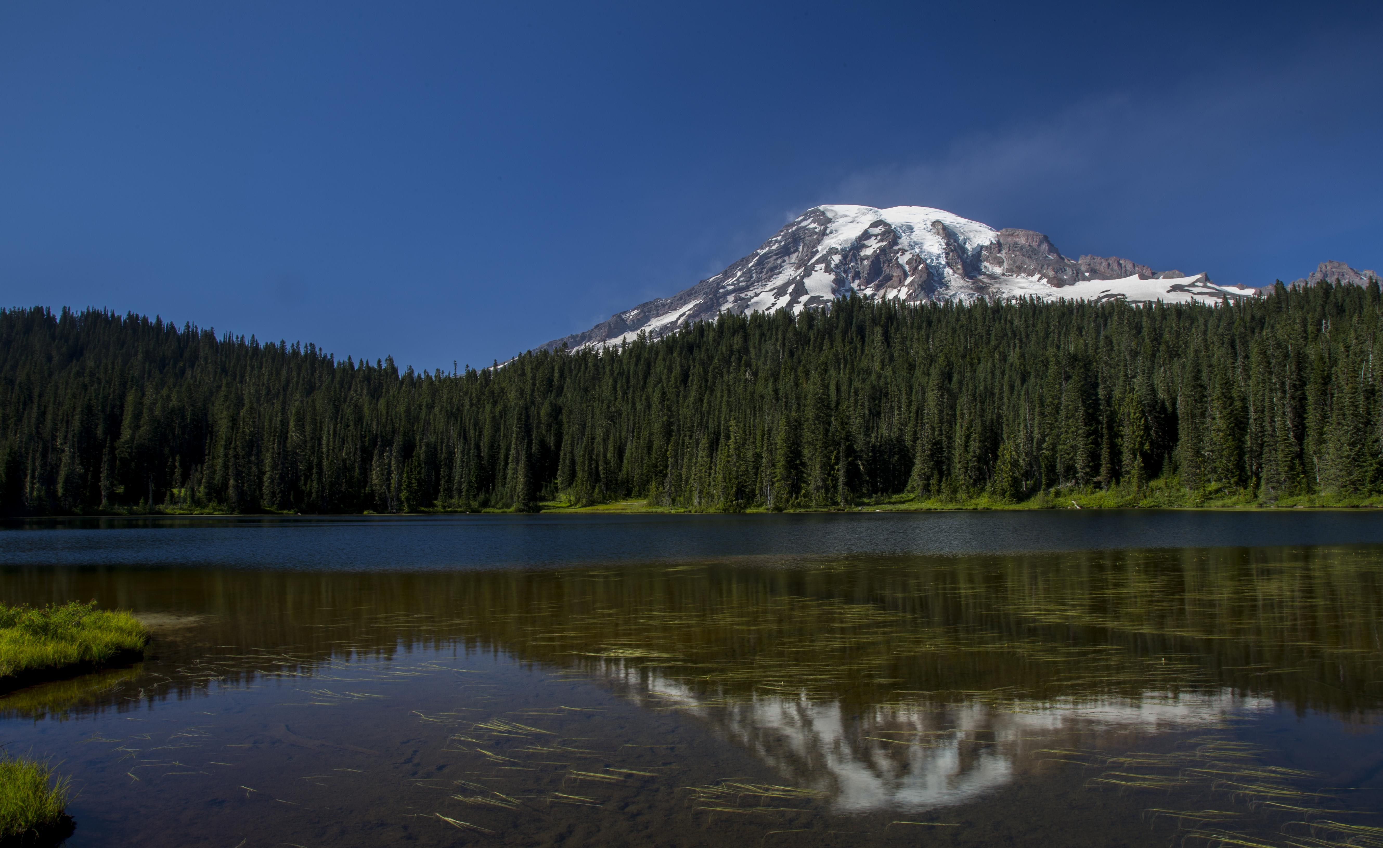 Free photo A lonely mountain near a dense forest with a river