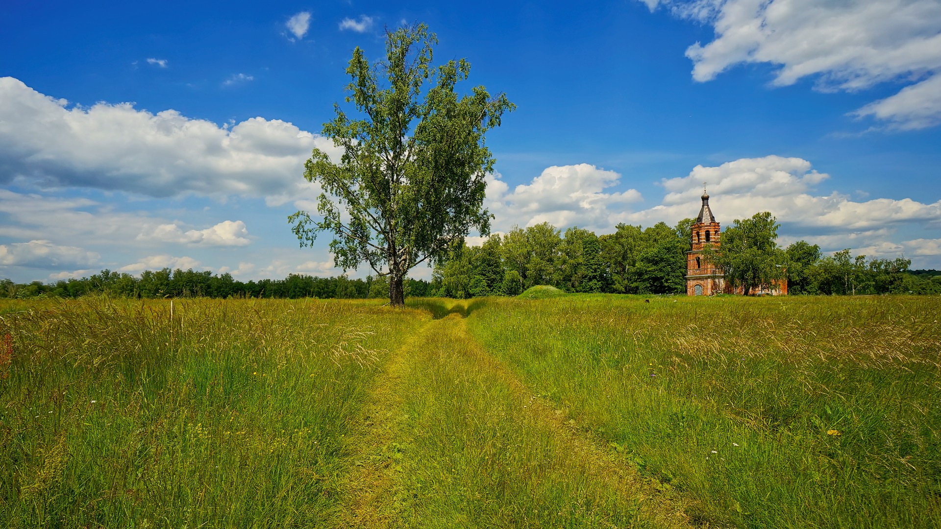 Бесплатное фото Заросшая дорога к старой церкви