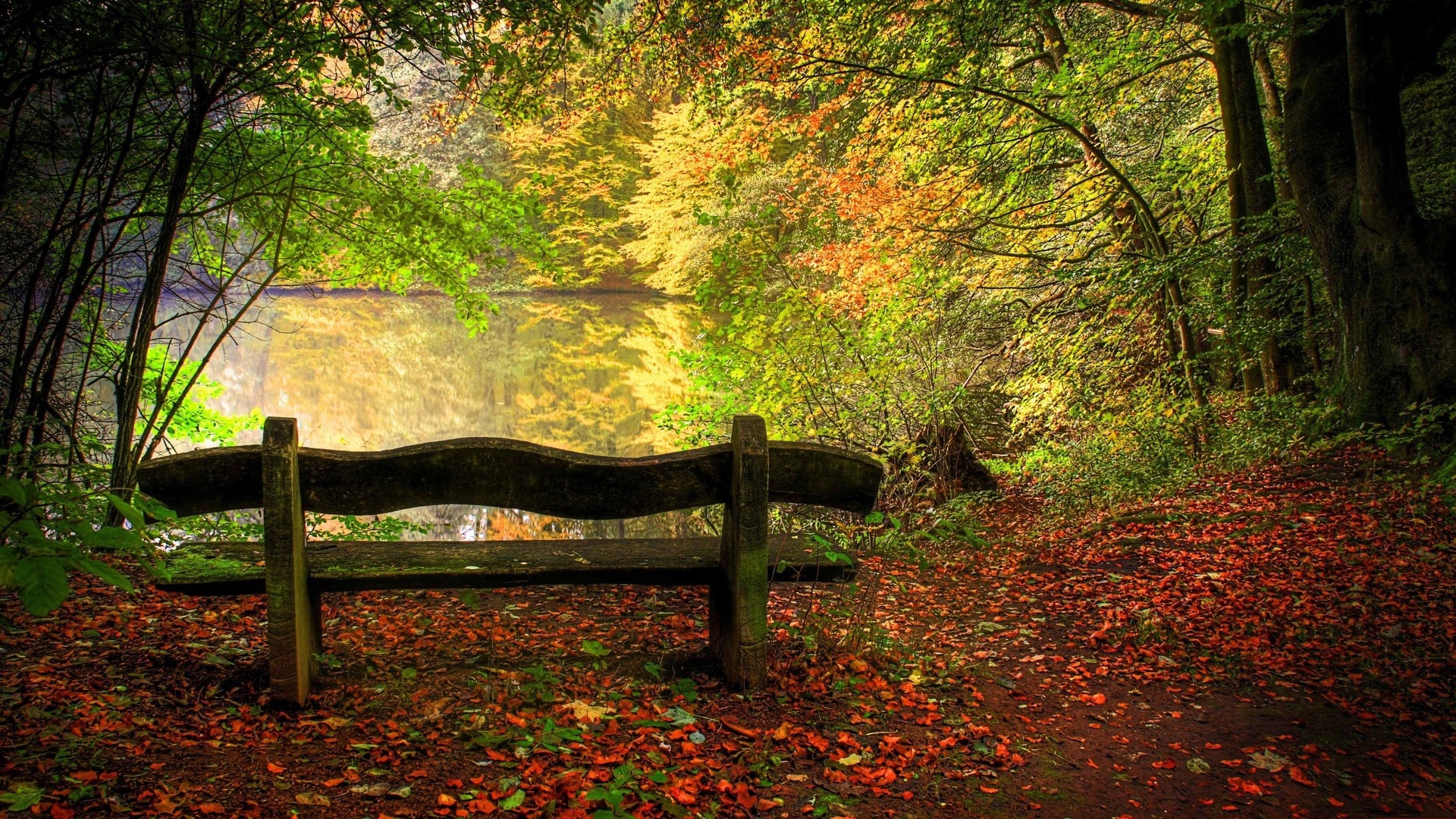 An autumn landscape with a wooden bench on the riverbank, surrounded by colorful leaves and the reflection of trees in the water.