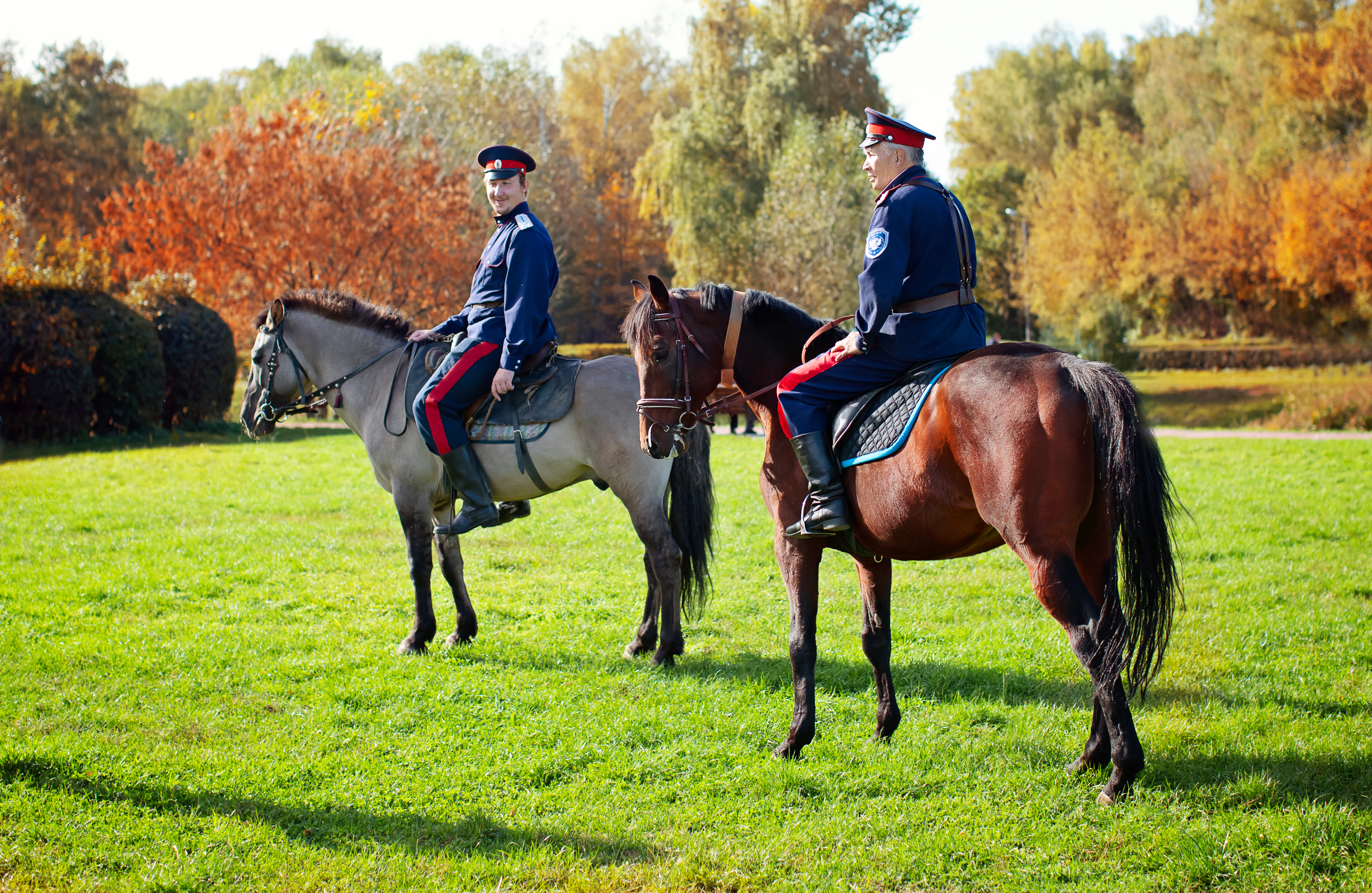 免费照片两名身着军装的男子骑在马背上，照片