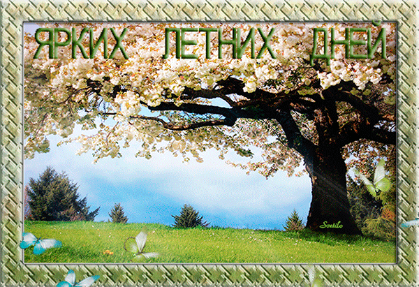 Открытка на тему полянка дерево облака скачать бесплатно