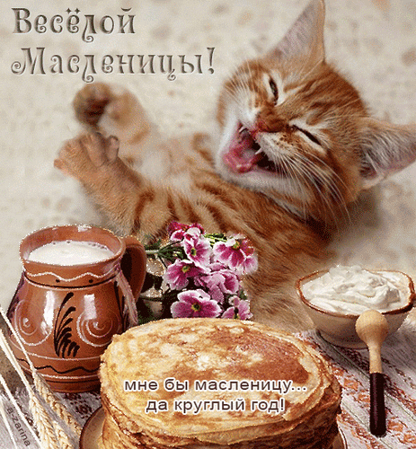 Postcard on the theme cat animation shrovetide download for free