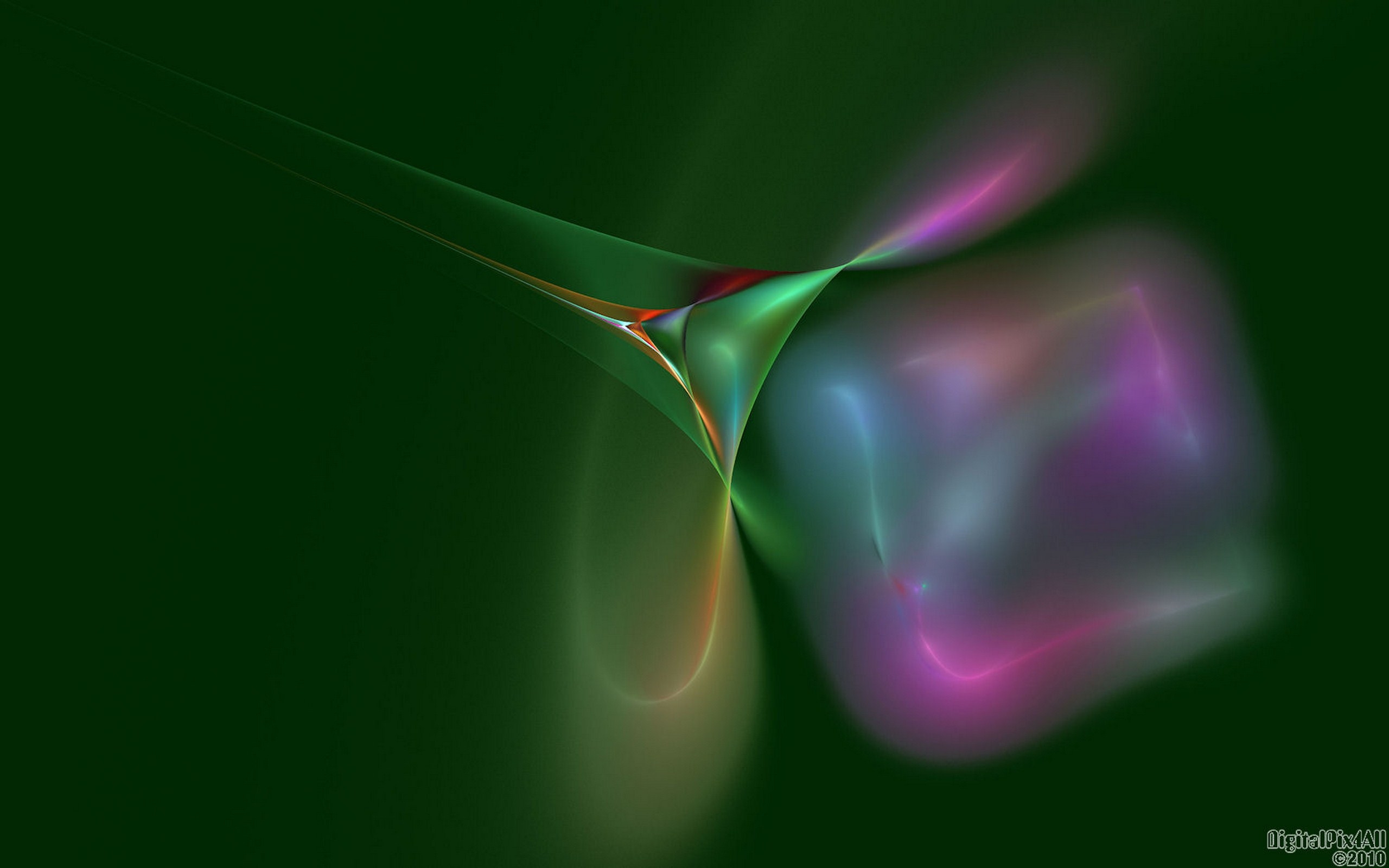 桌面上的壁纸图片 绿化 露水