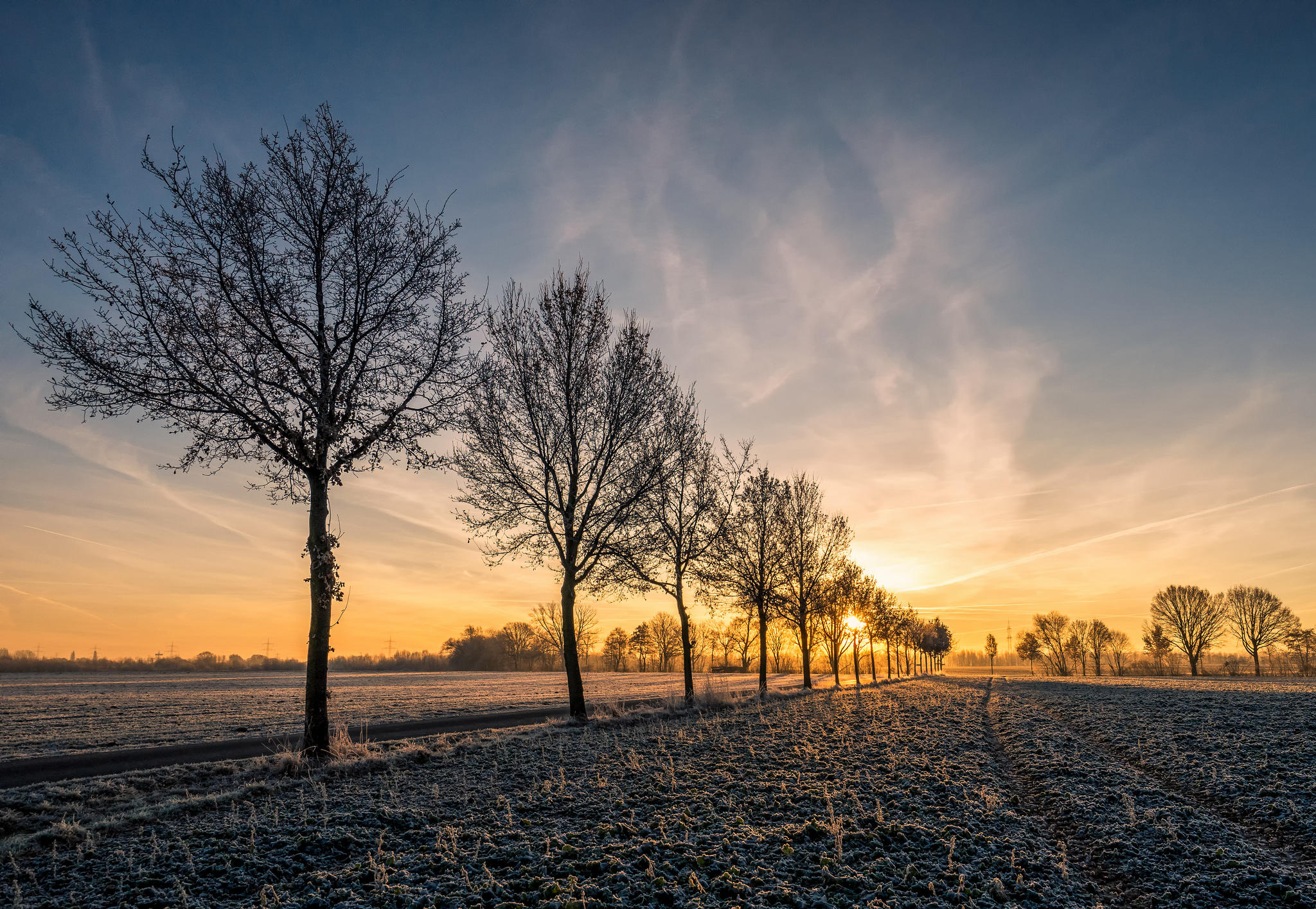 Free photo Beautiful screensaver field, sunset