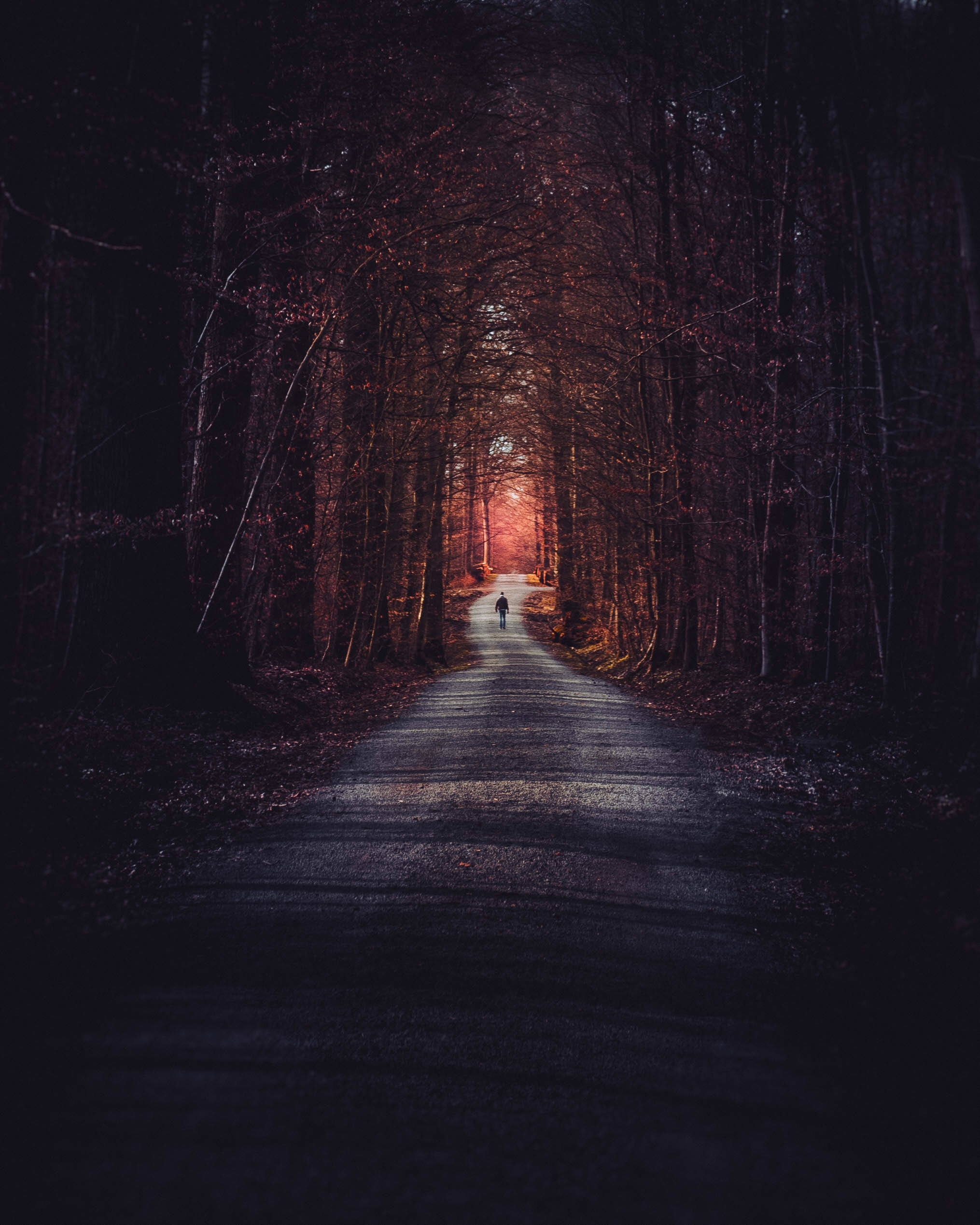 免费照片一个人沿着一条道路走过黑暗的秋季森林