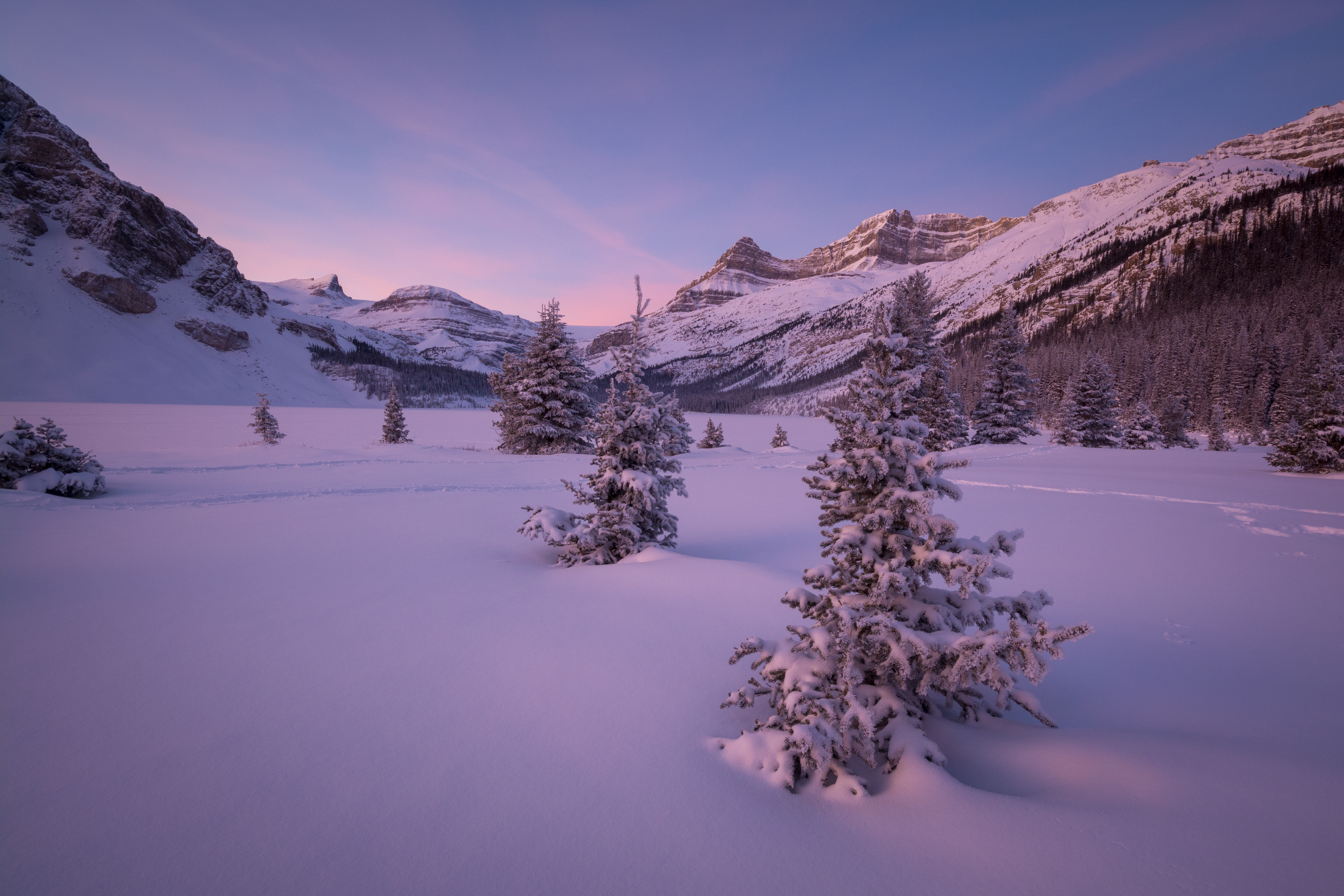 Wallpapers spruce snow Bow Lake on the desktop