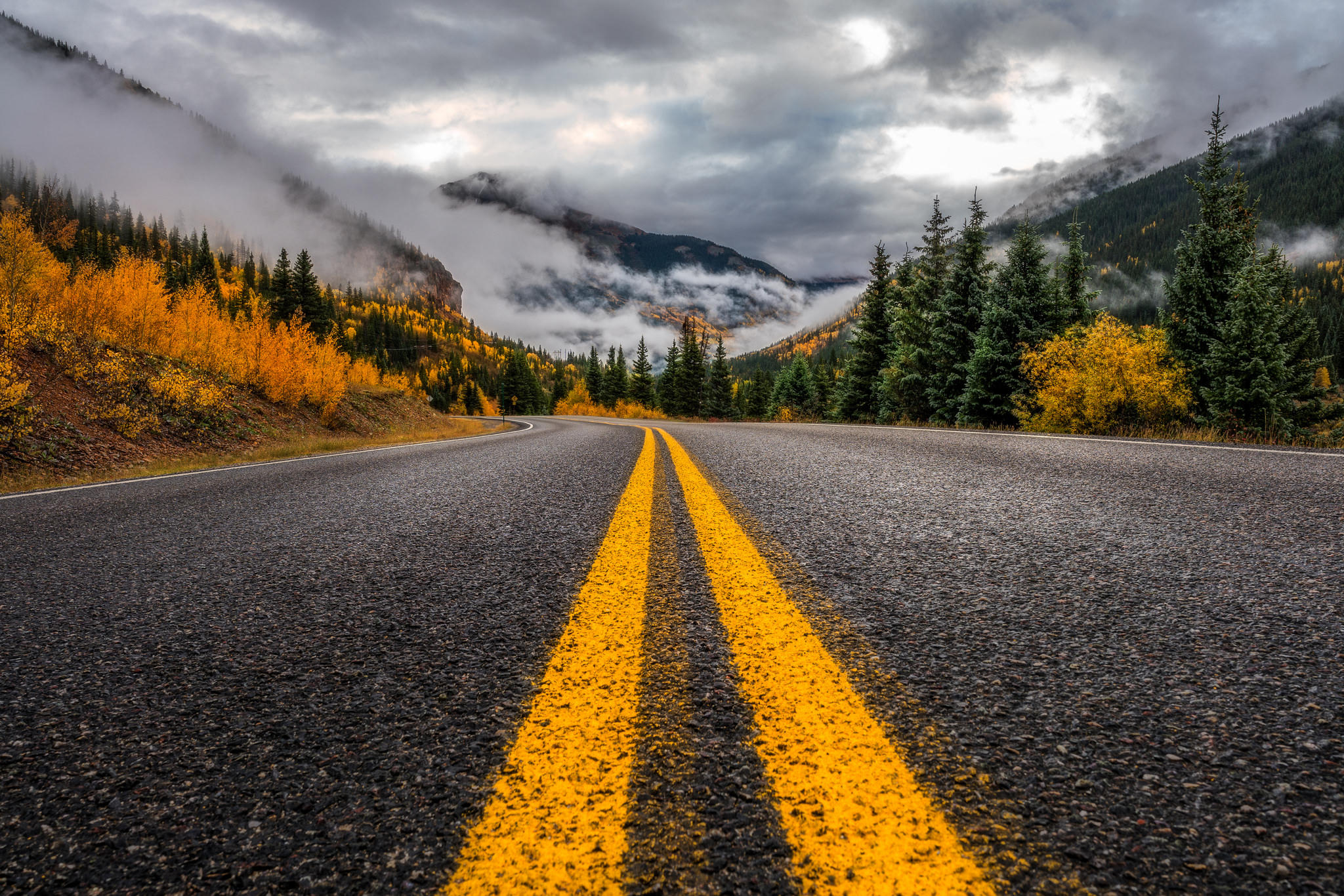 桌面上的壁纸道路 圣胡安山 森林