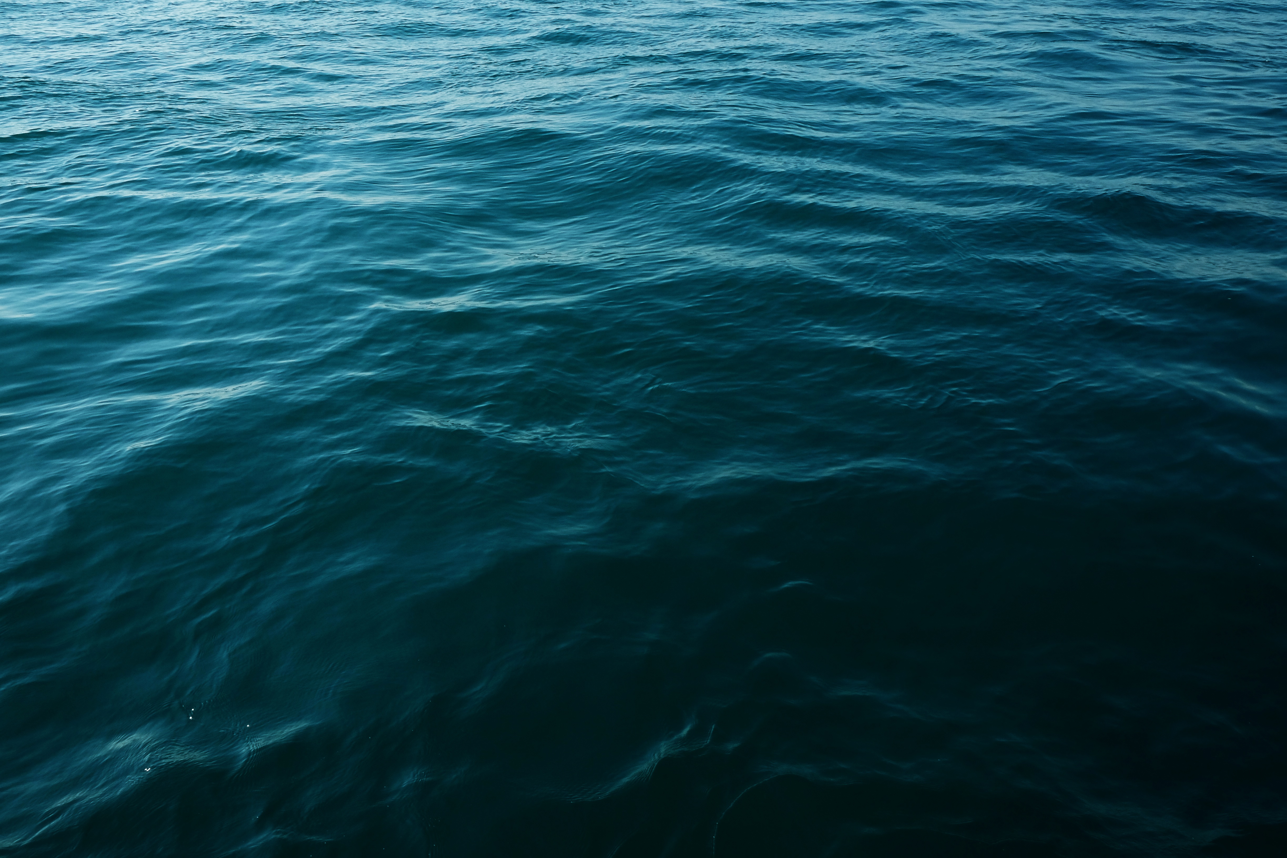 Воды океана