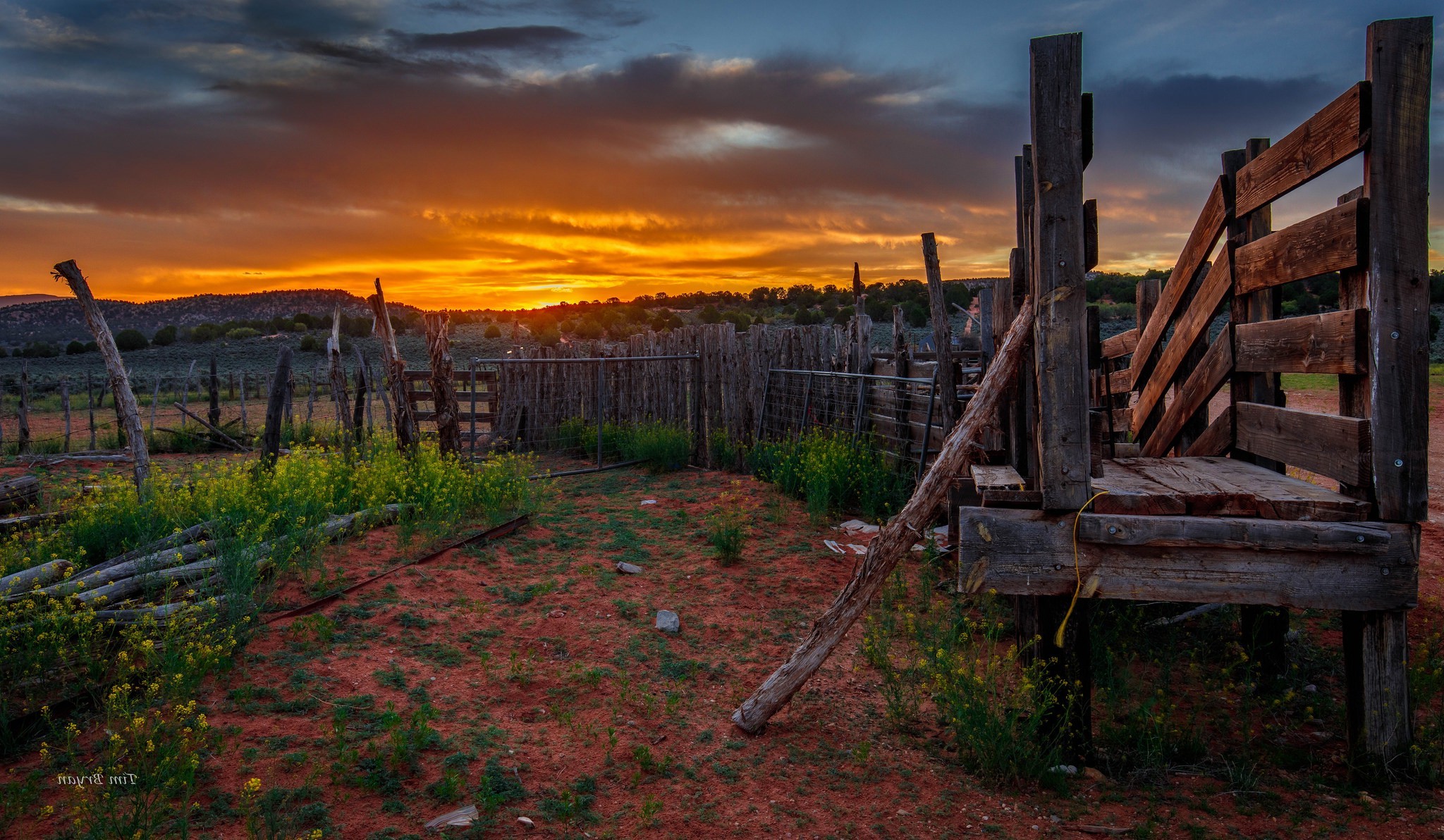 桌面上的壁纸原野 晚上 秋季