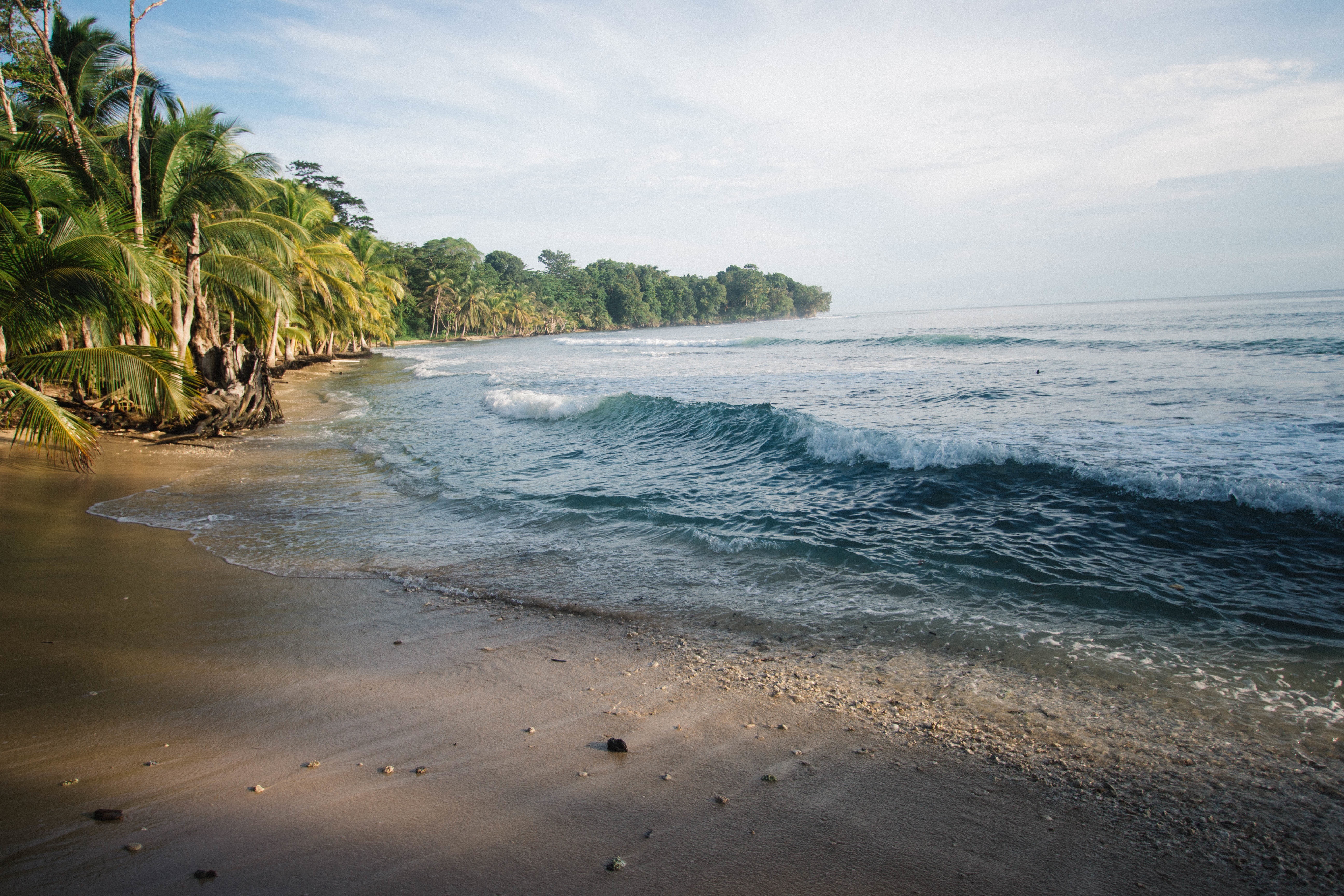 Free photo Waves on the shore of a large island