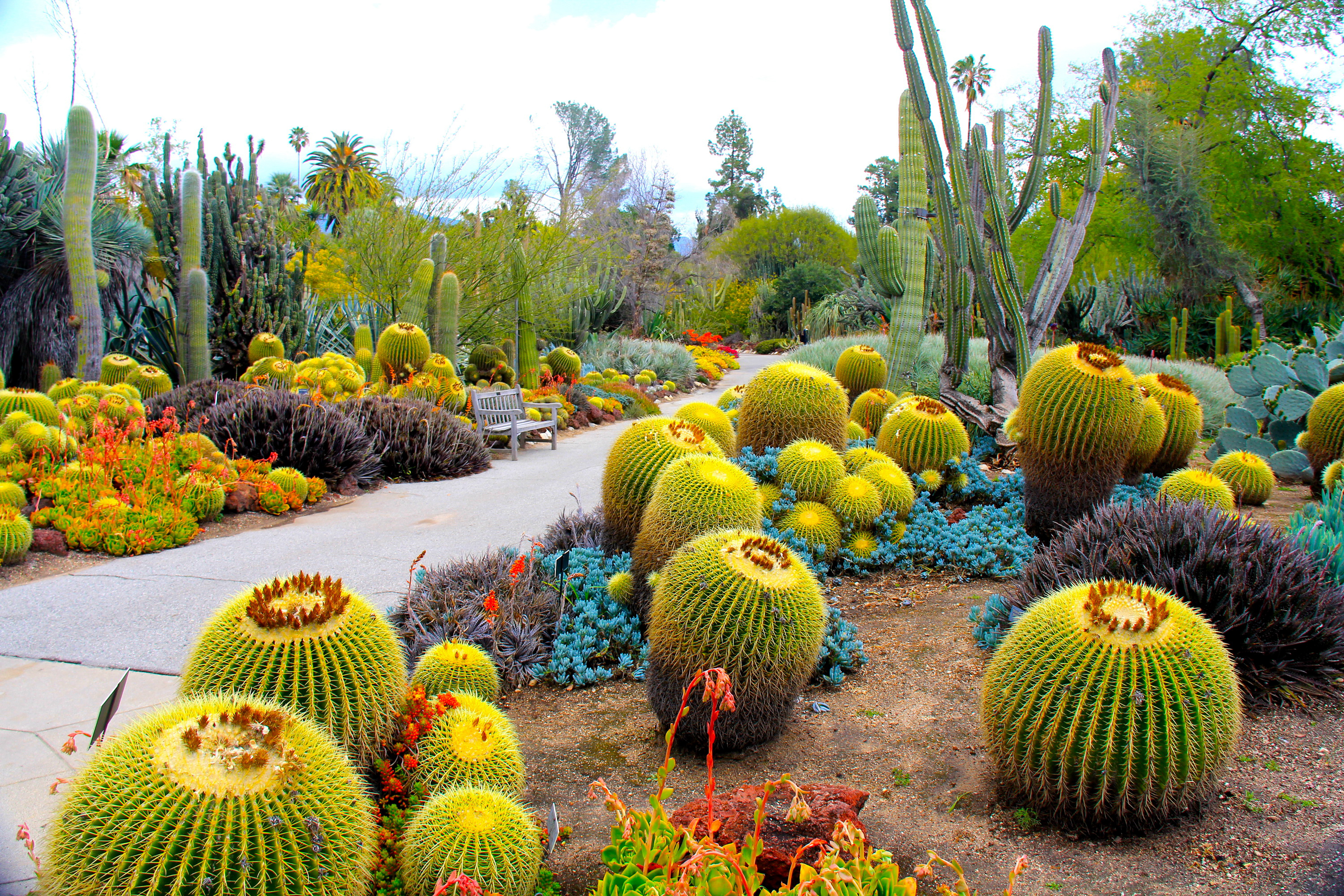 Wallpapers garden California USA on the desktop