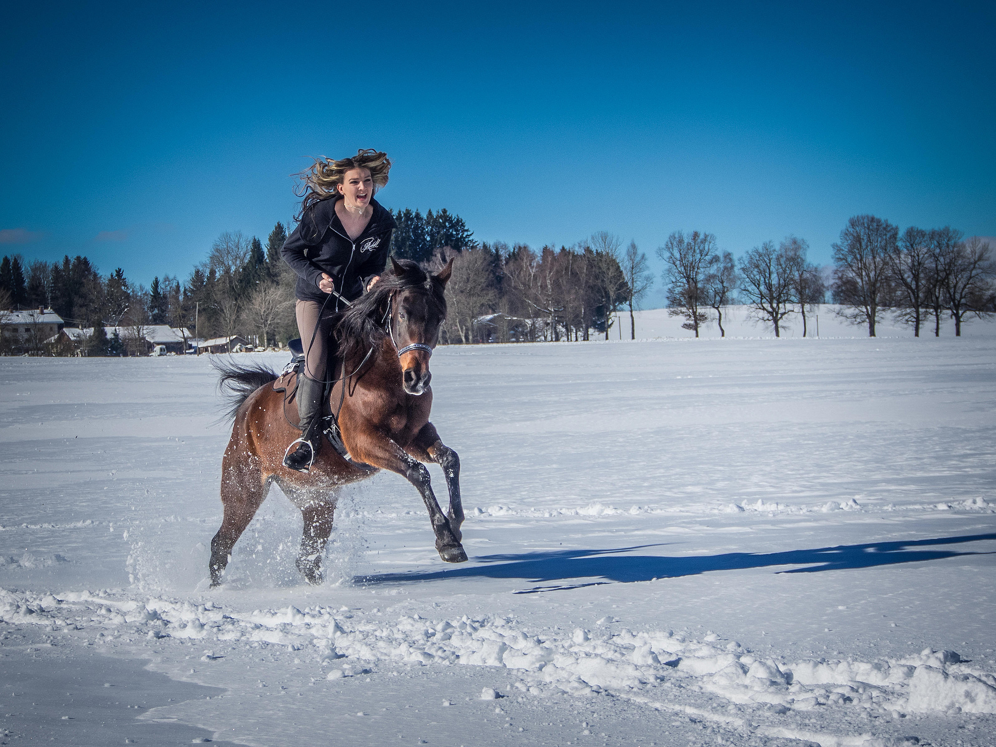 Wallpapers girl horse rider on the desktop