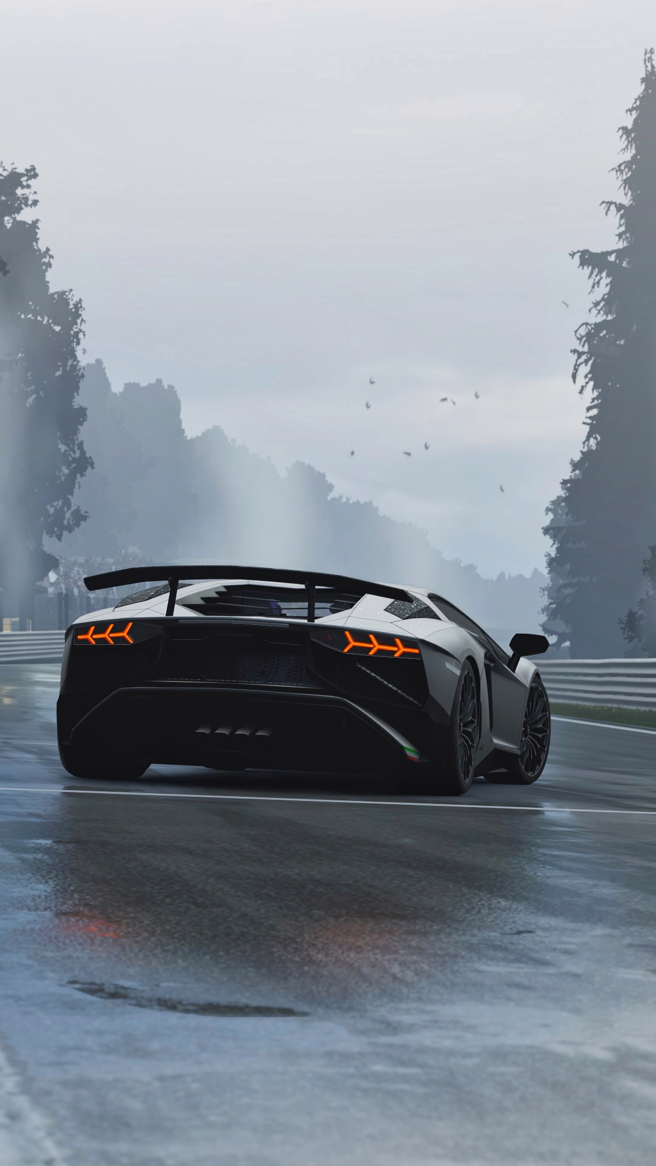 Free photo Lamborghini Murcielago rear view in rainy weather