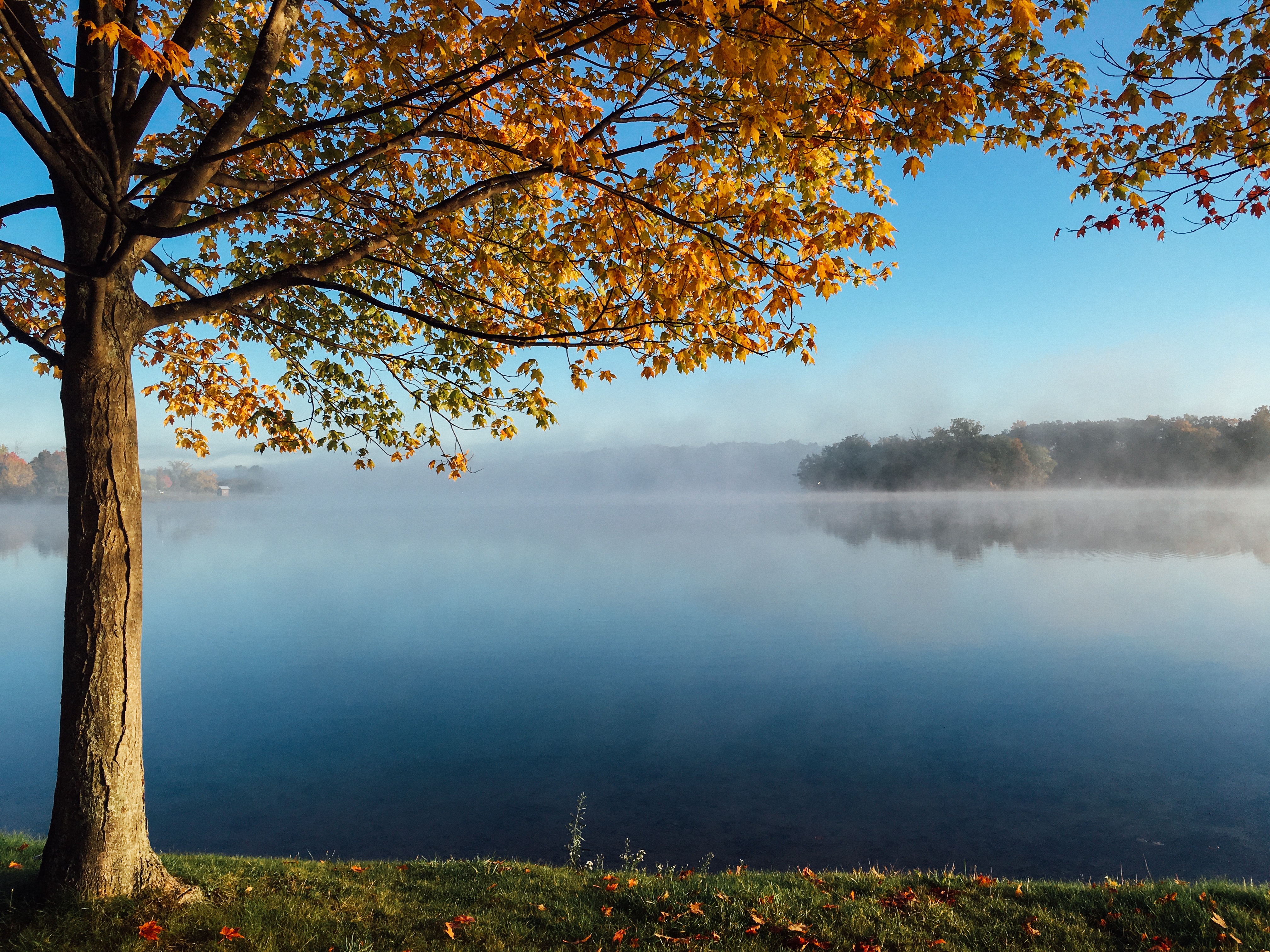 Free photo Morning by the lake