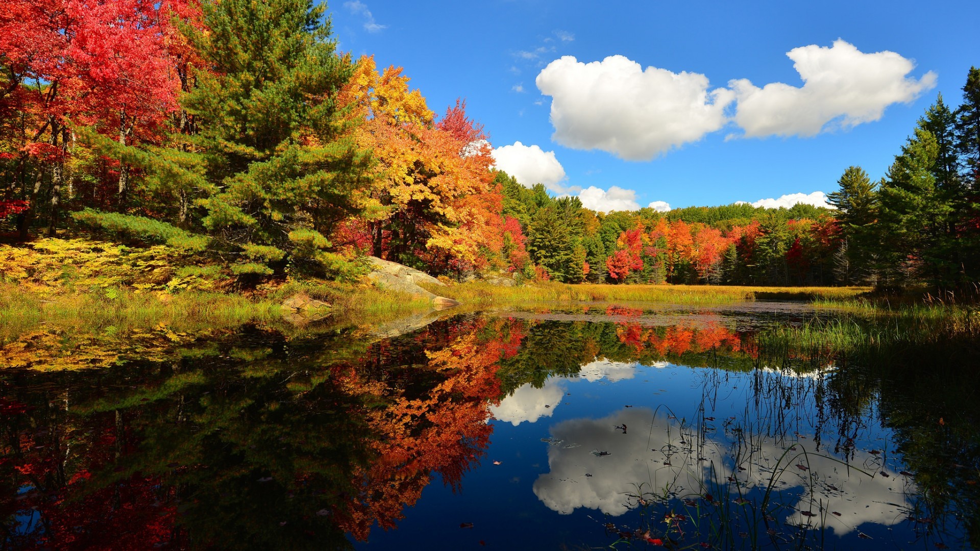 Free photo A large lake in the fall forest