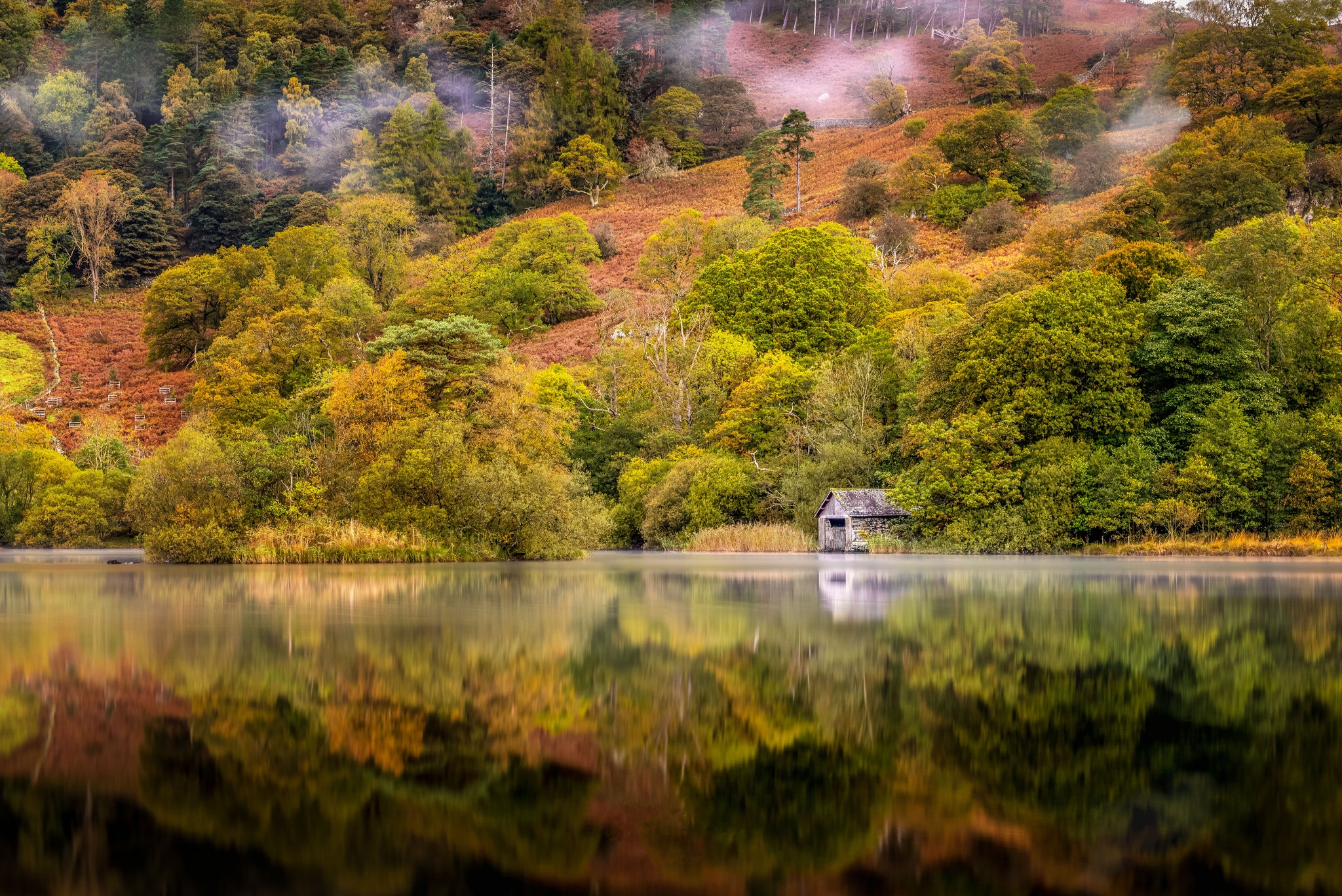 Wallpapers Lake District National Park lake trees on the desktop