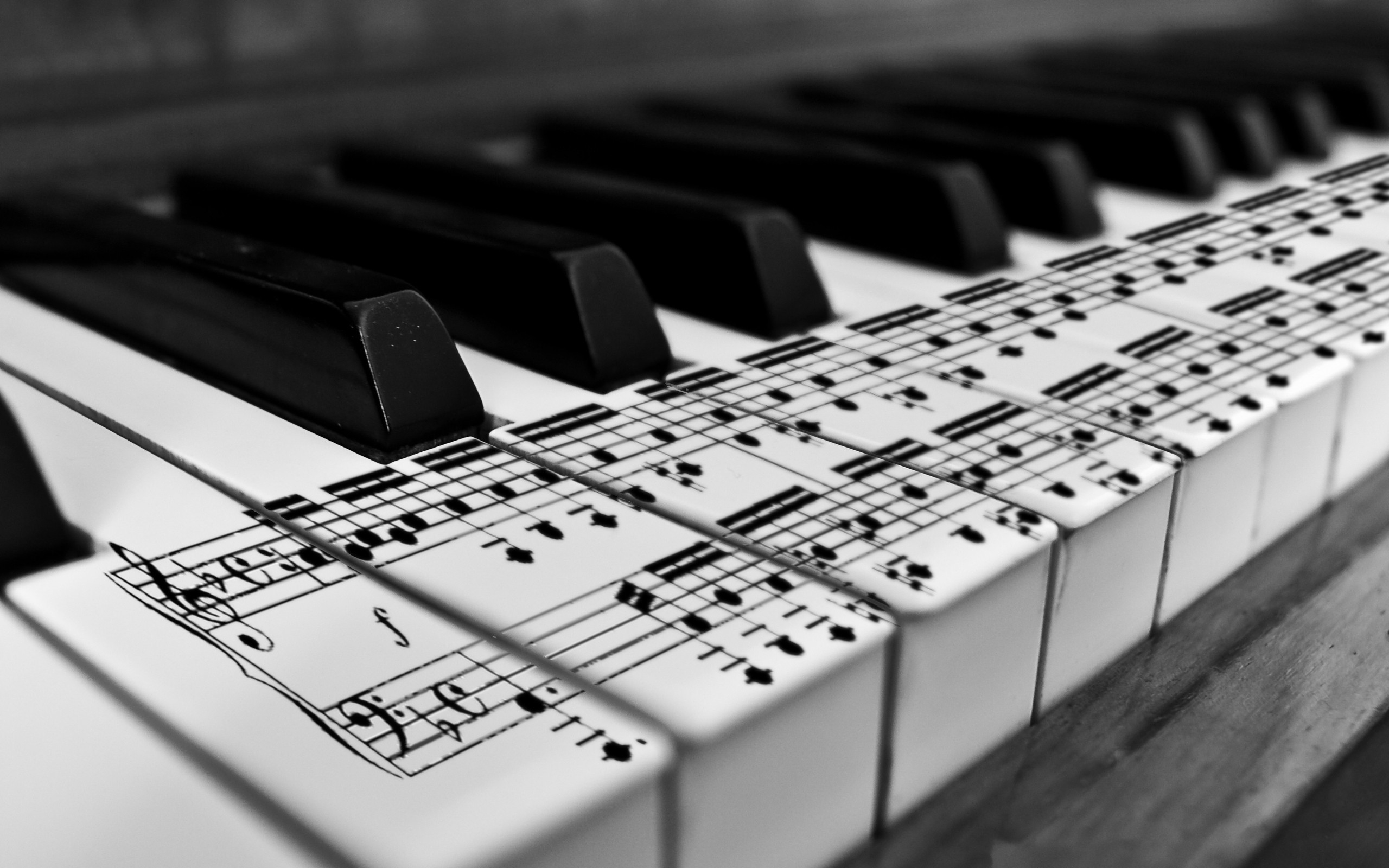Free photo Monochrome photograph of piano buttons