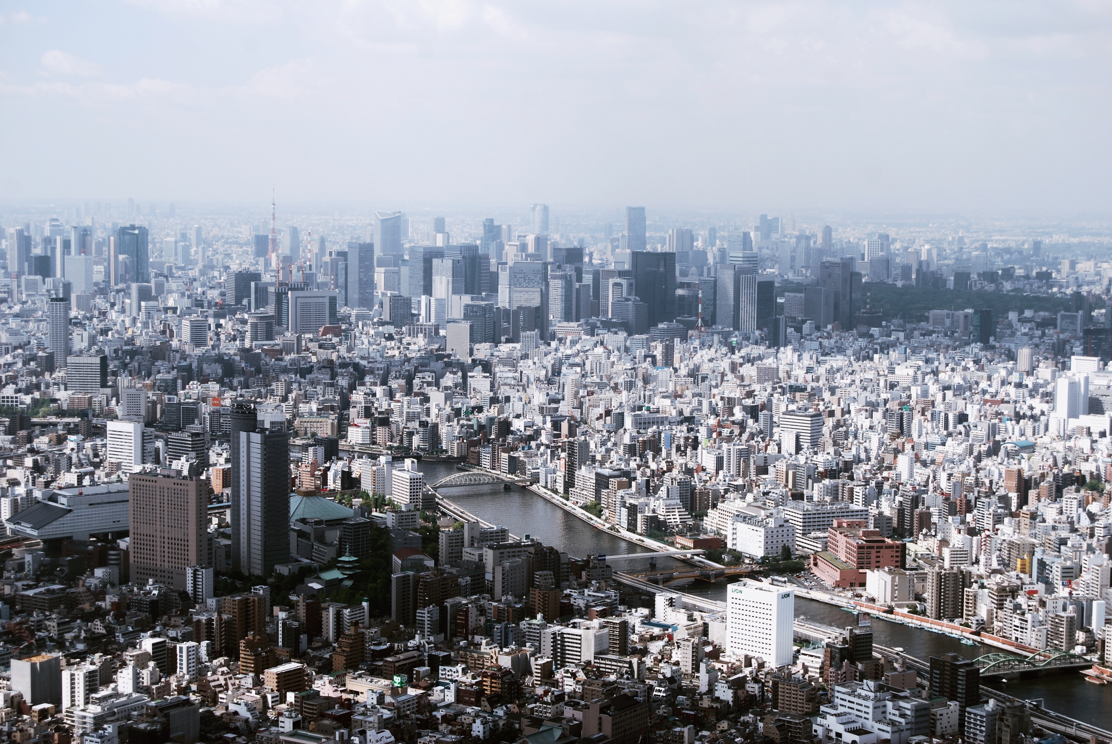 桌面上的壁纸视野 城市 建筑物