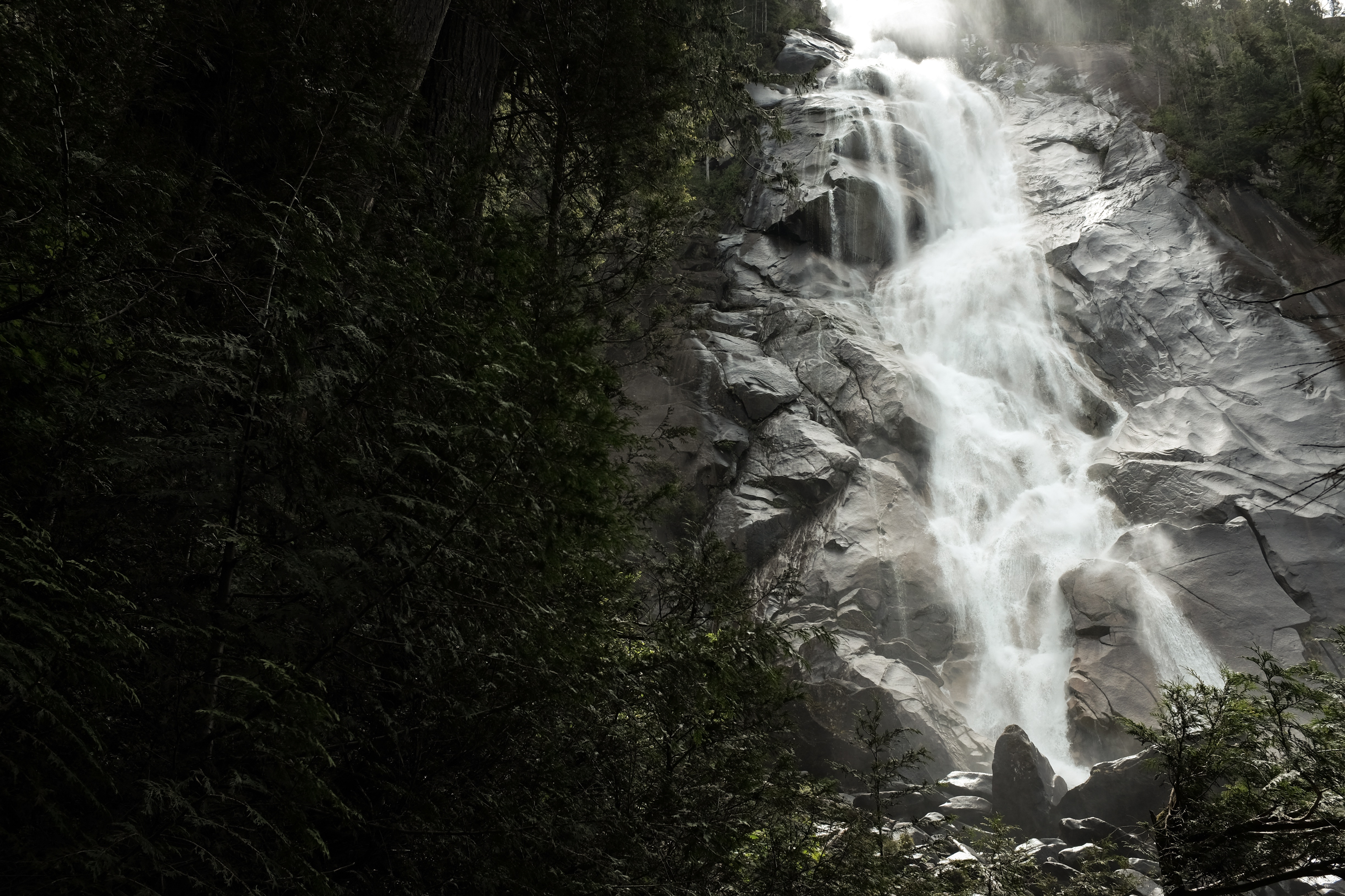 Wallpapers tree water nature on the desktop