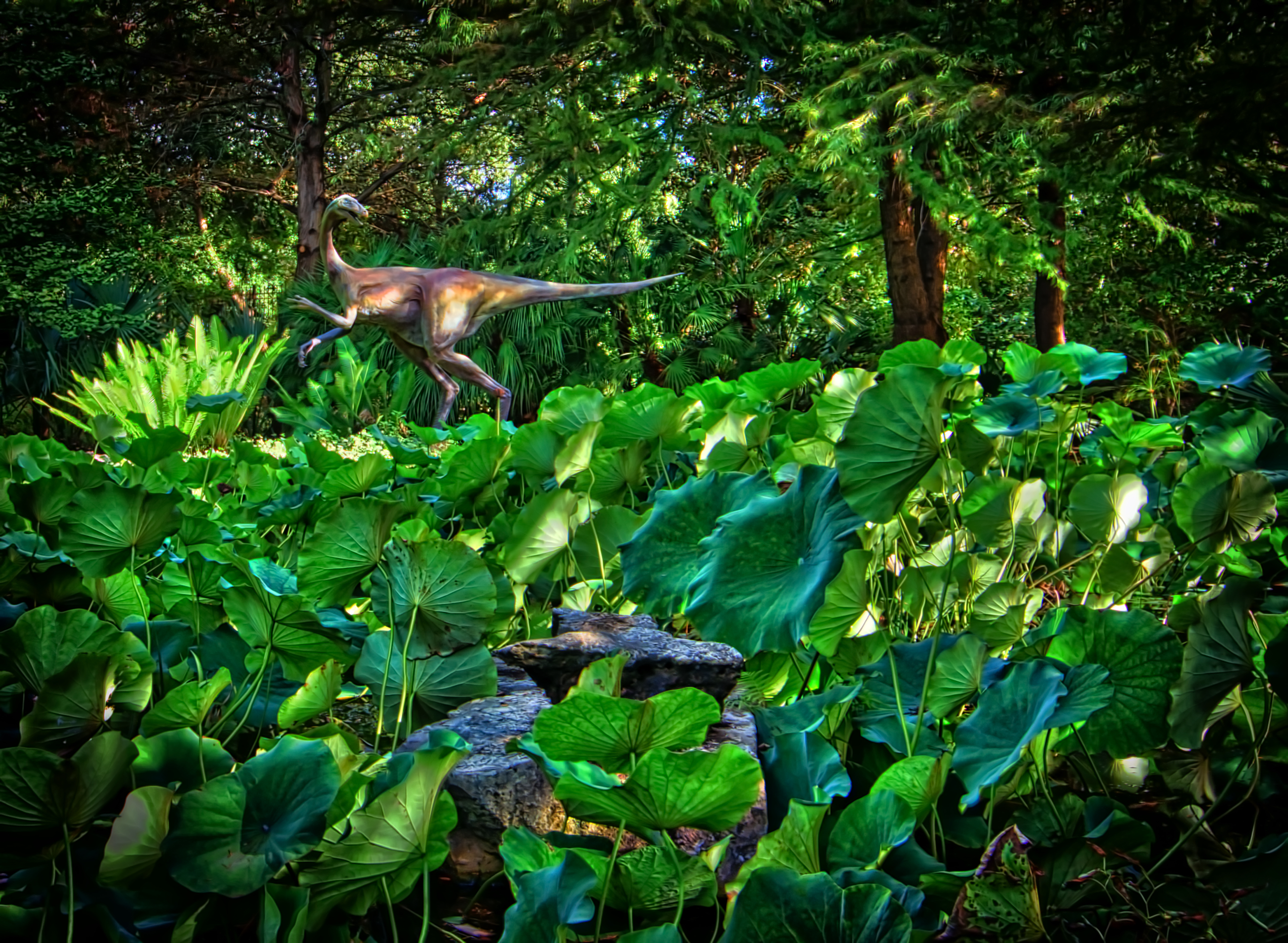 桌面上的壁纸森林 片材 花