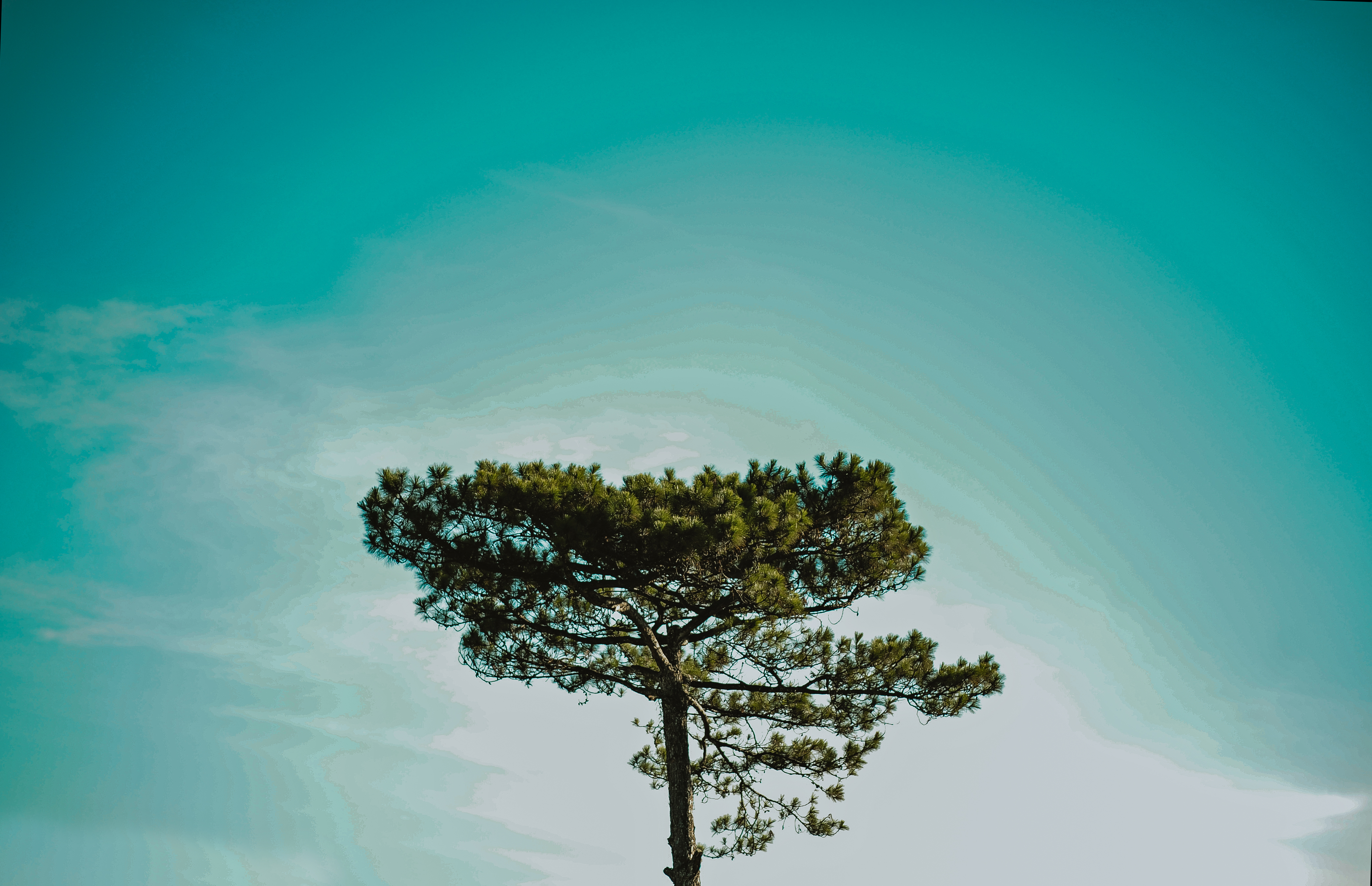 桌面上的壁纸景观 天空 地面