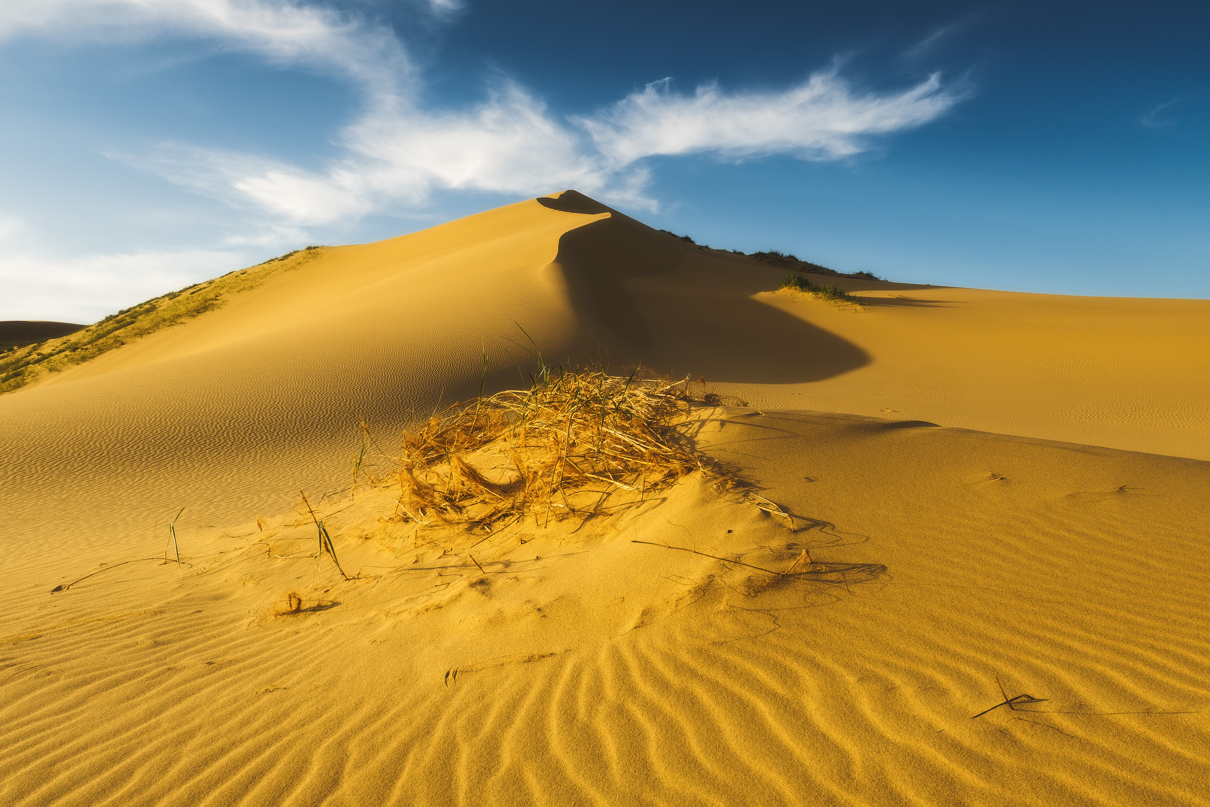 Free photo Dagestan Sahara