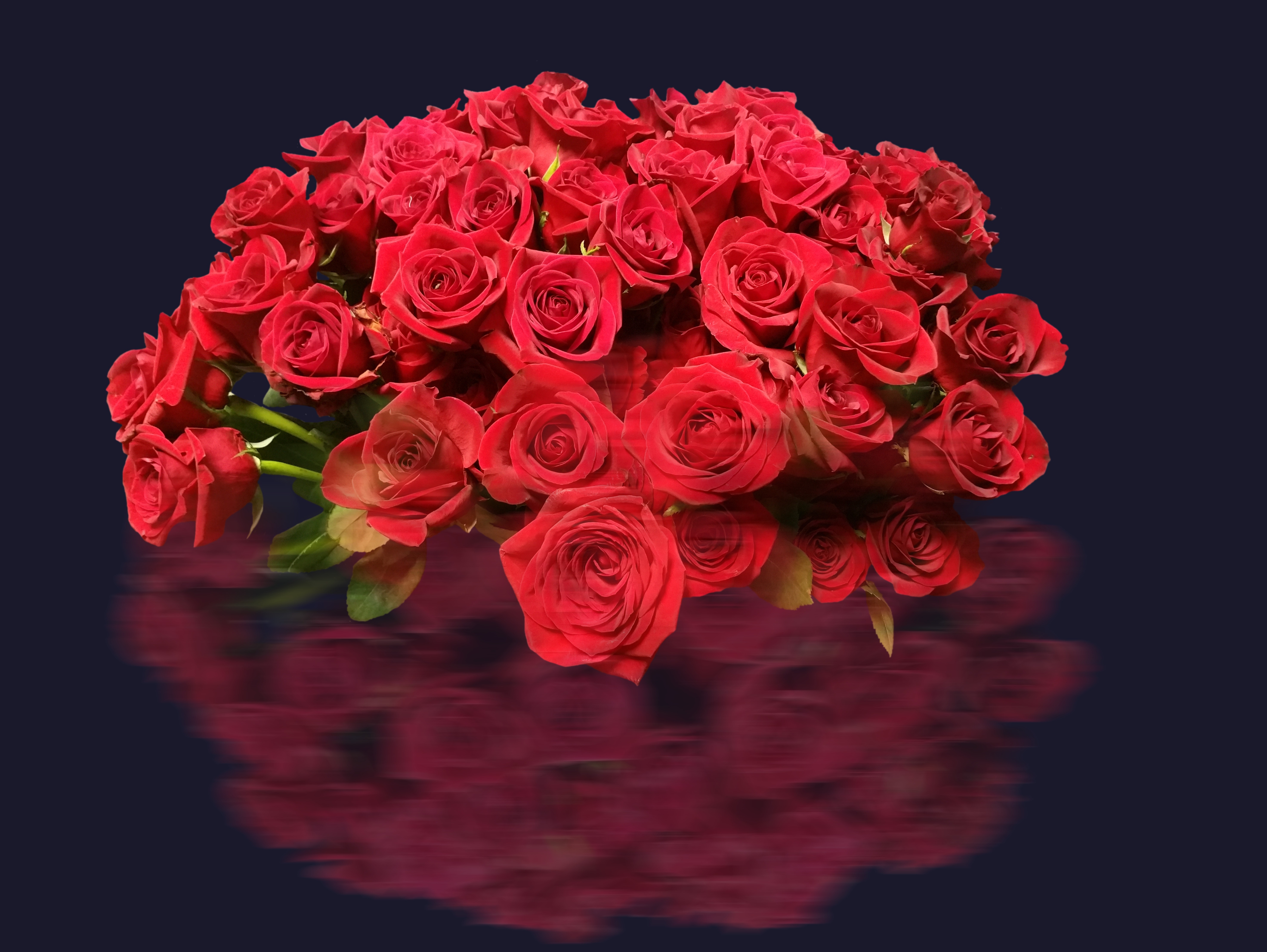 Wallpapers bouquet flora rose black background on the desktop