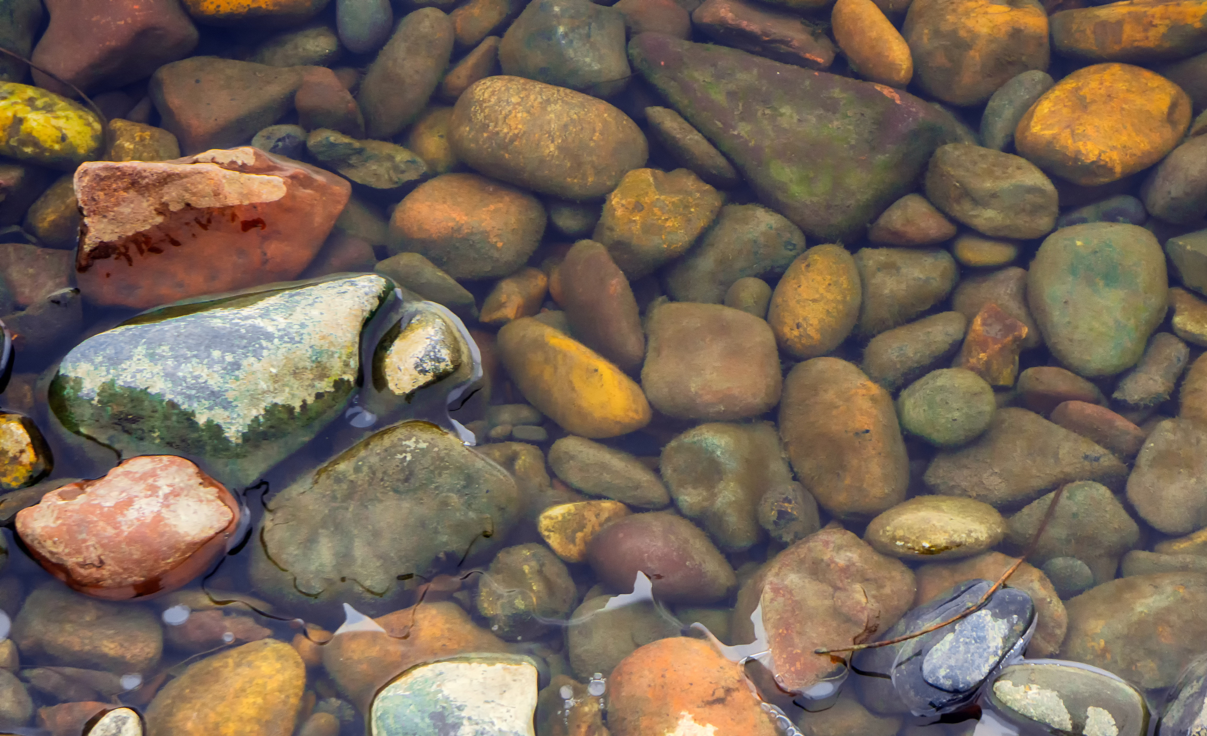 Free photo Sea pebbles in the water