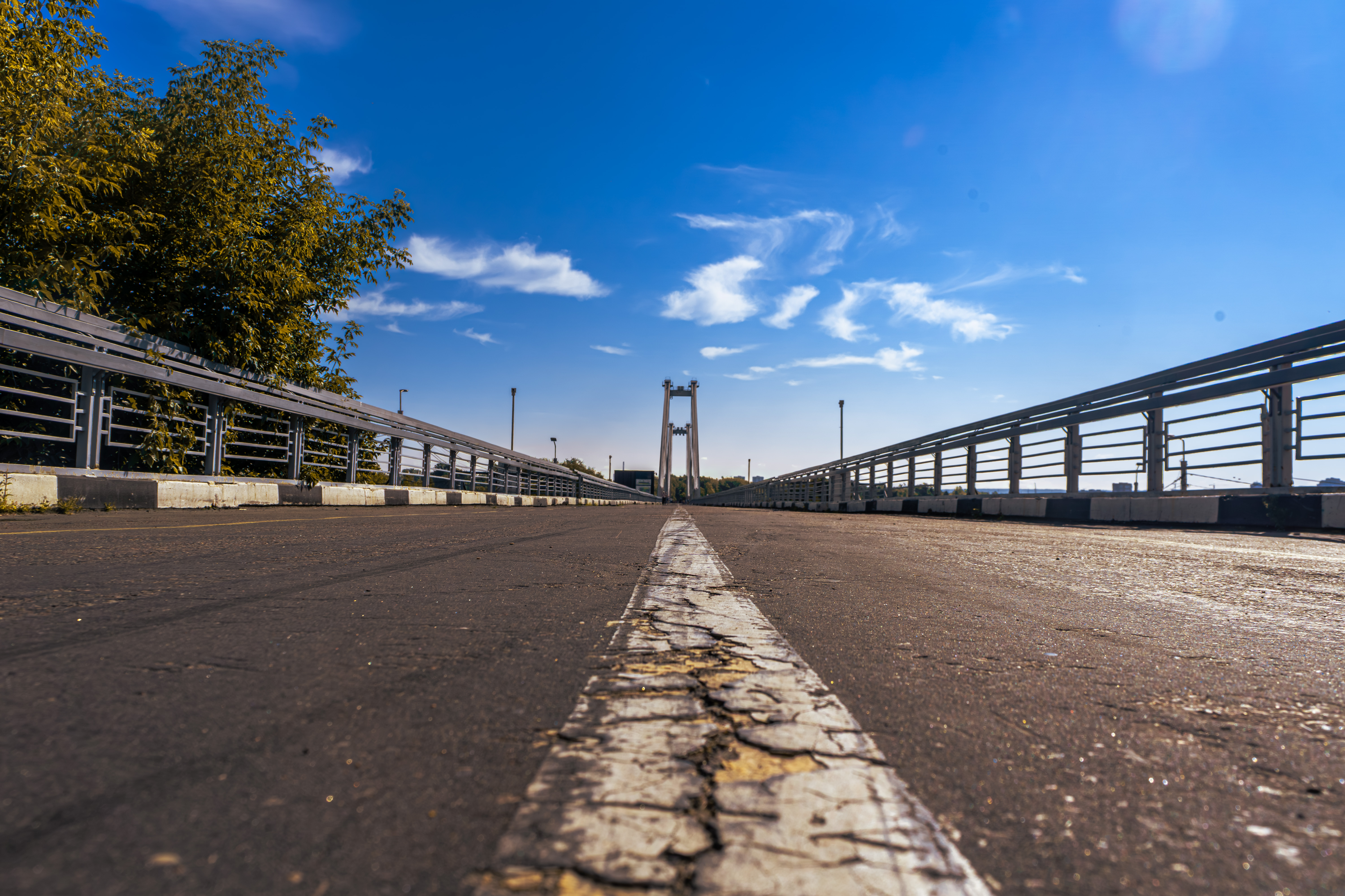 Free photo View of the cable-stayed bridge