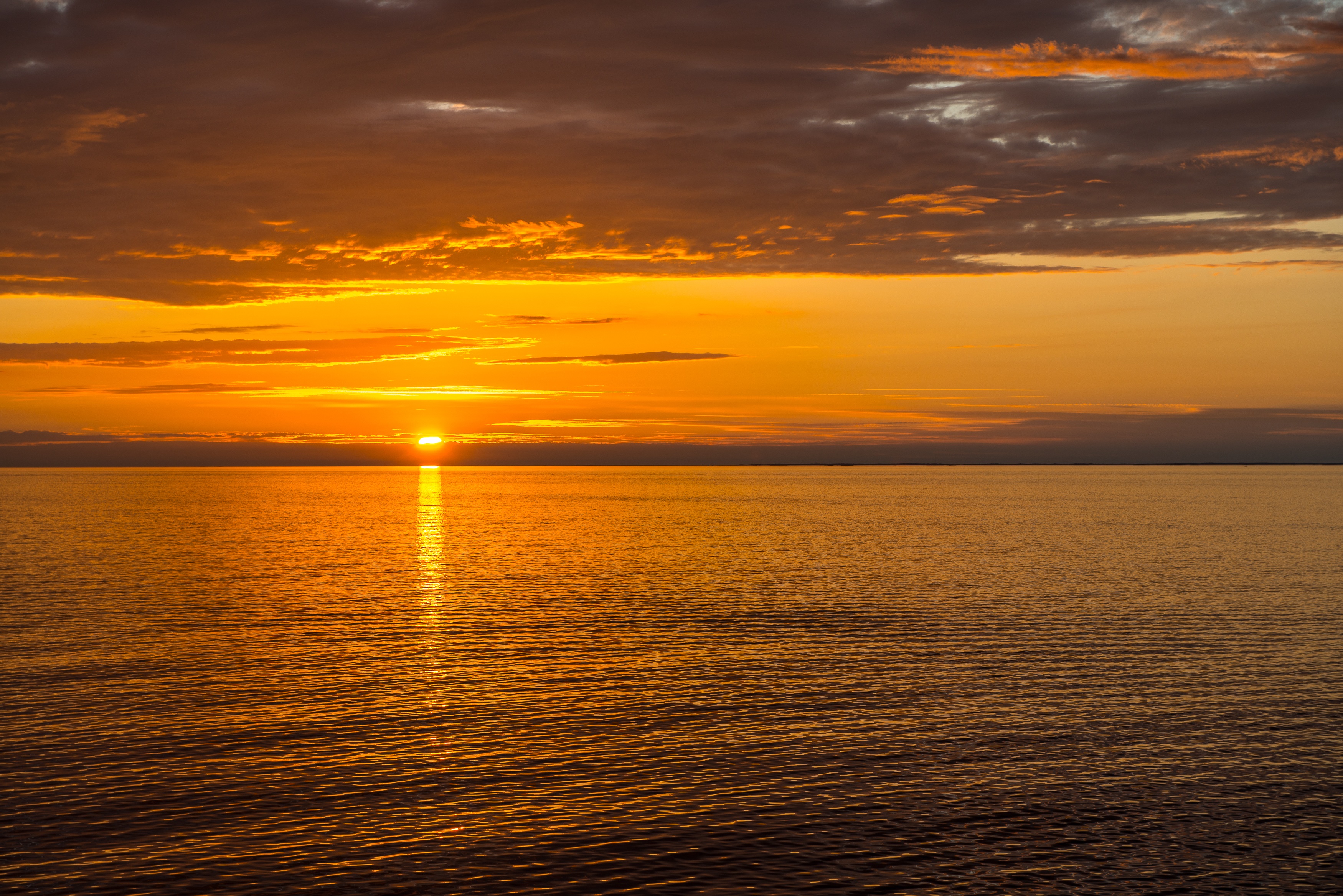 Free photo Sunrise over a calm ocean