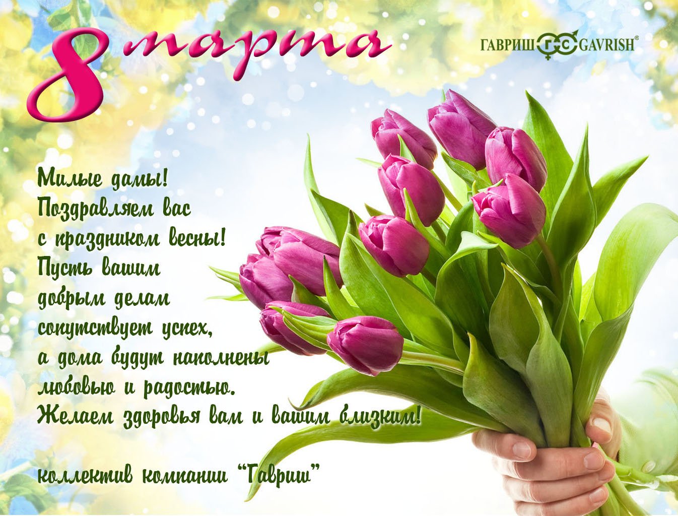 3 月 8 日为可爱的女士们准备的美丽郁金香花束