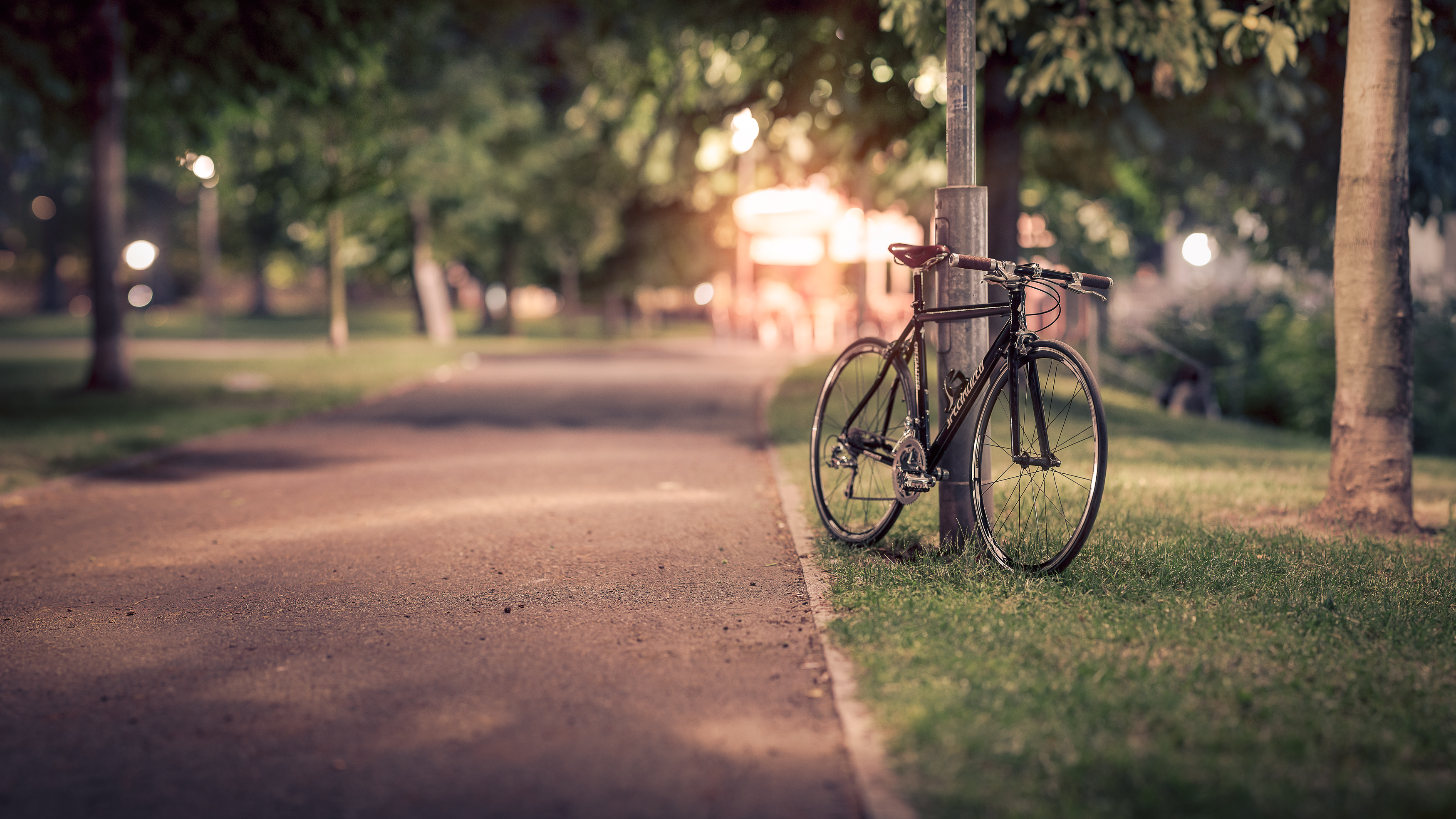 Бесплатное фото Одинокий велосипед в парке