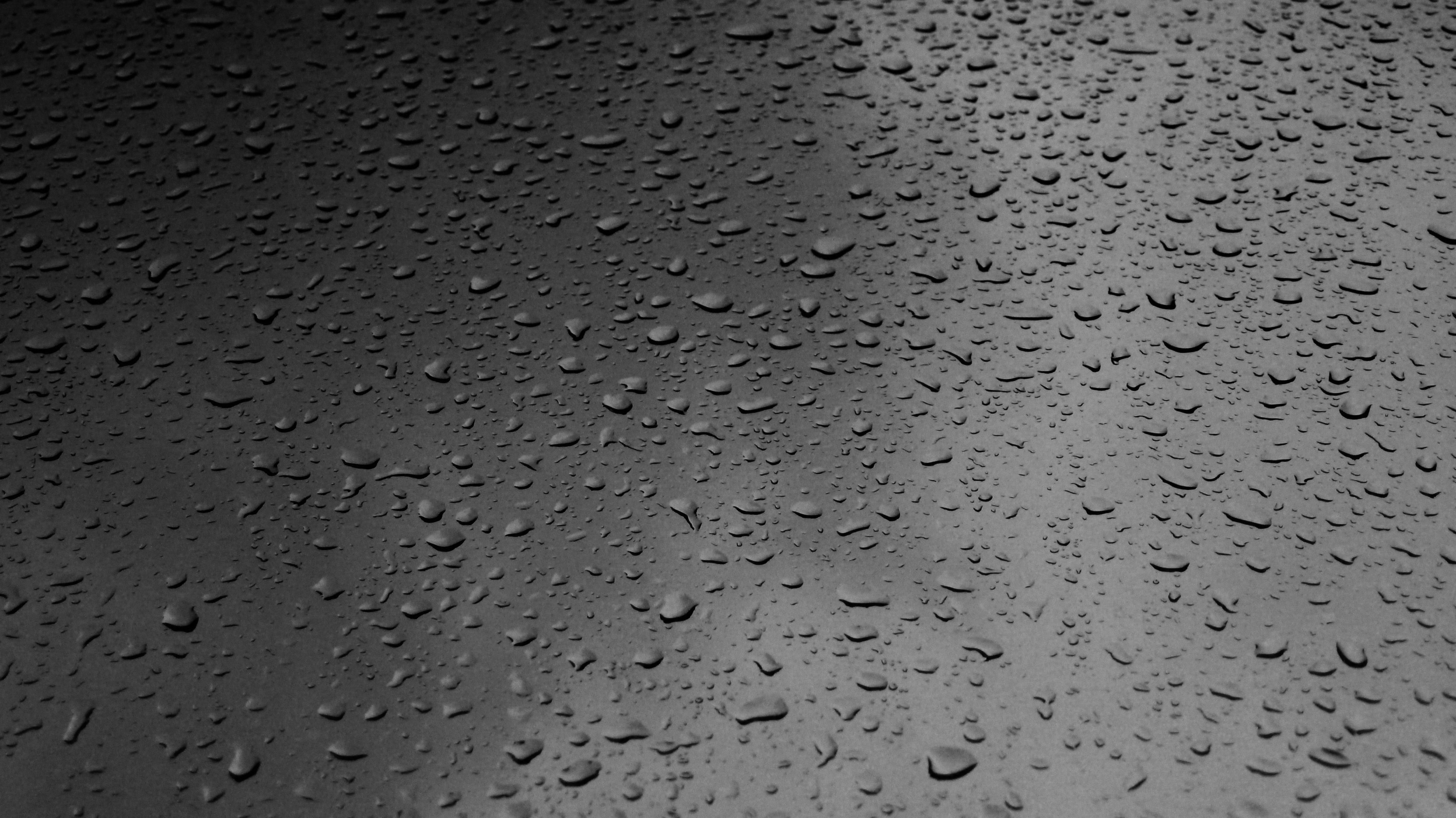 Wallpapers droplet drop dew on the desktop