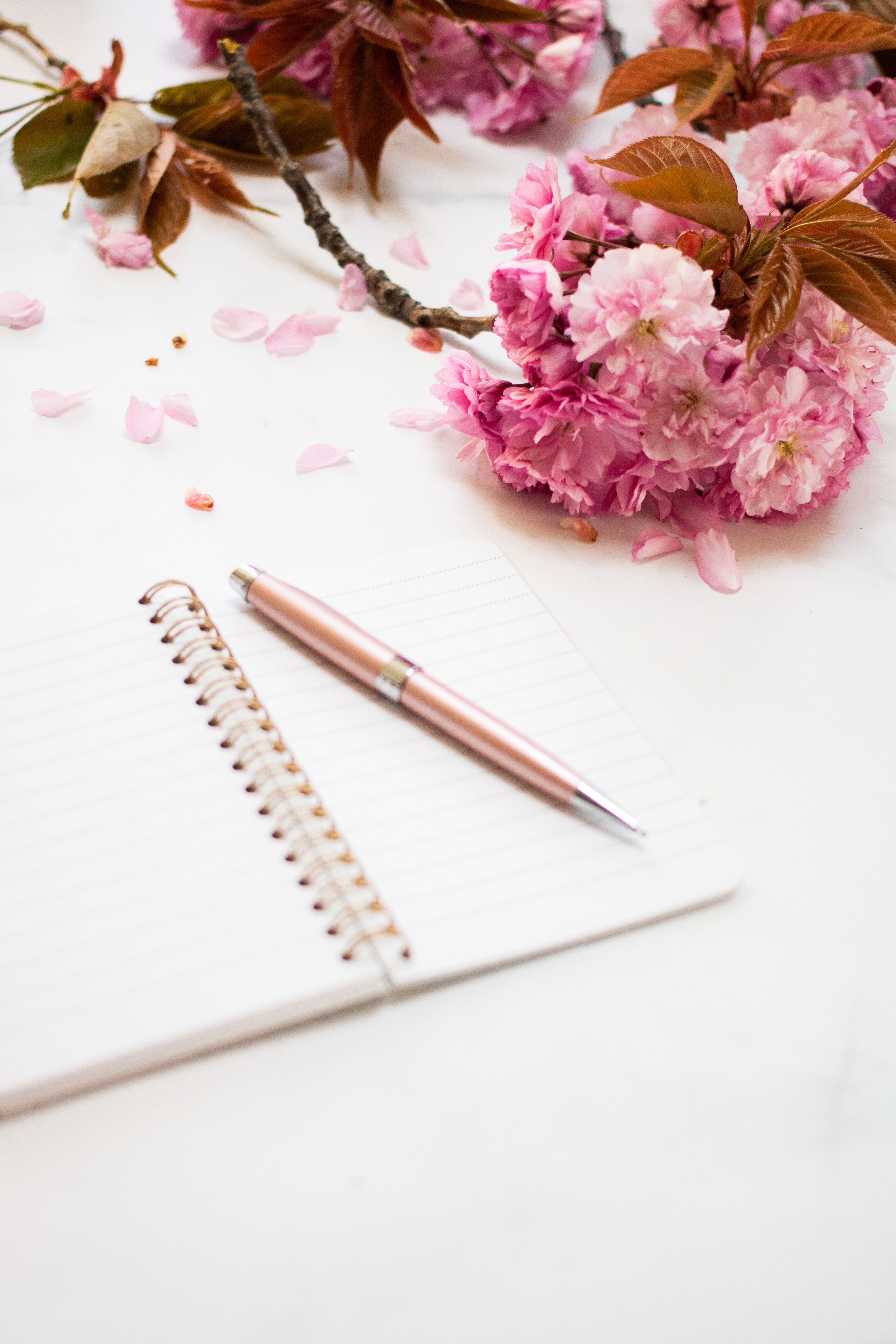 笔记本旁放着粉红色的花朵