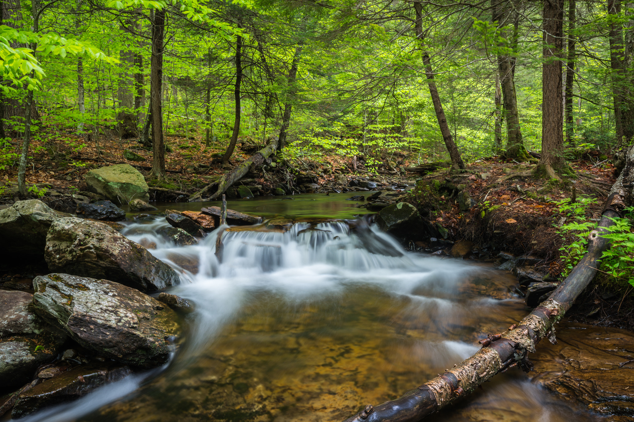 Free photo Old Creek