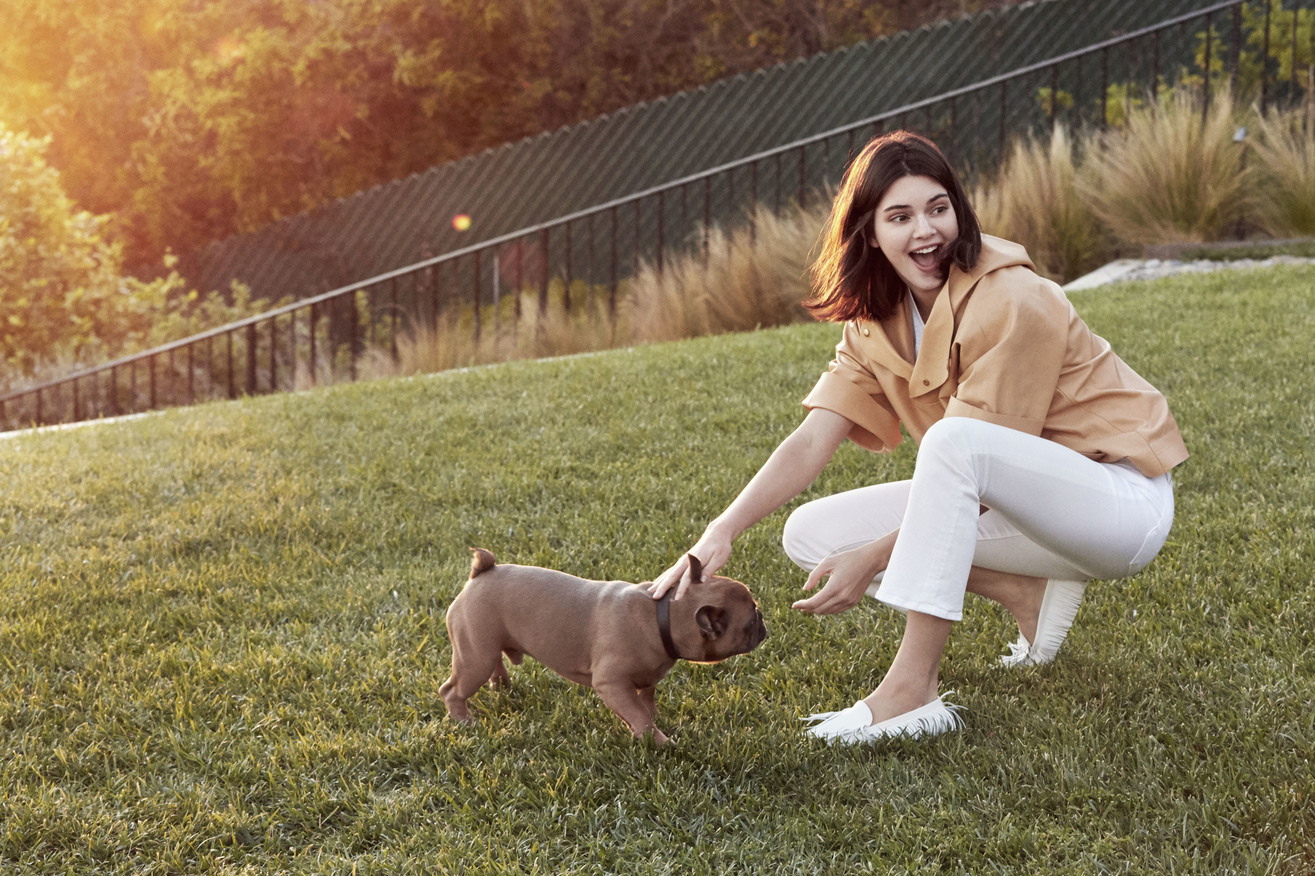 Wallpapers Kendall Jenner dog model on the desktop