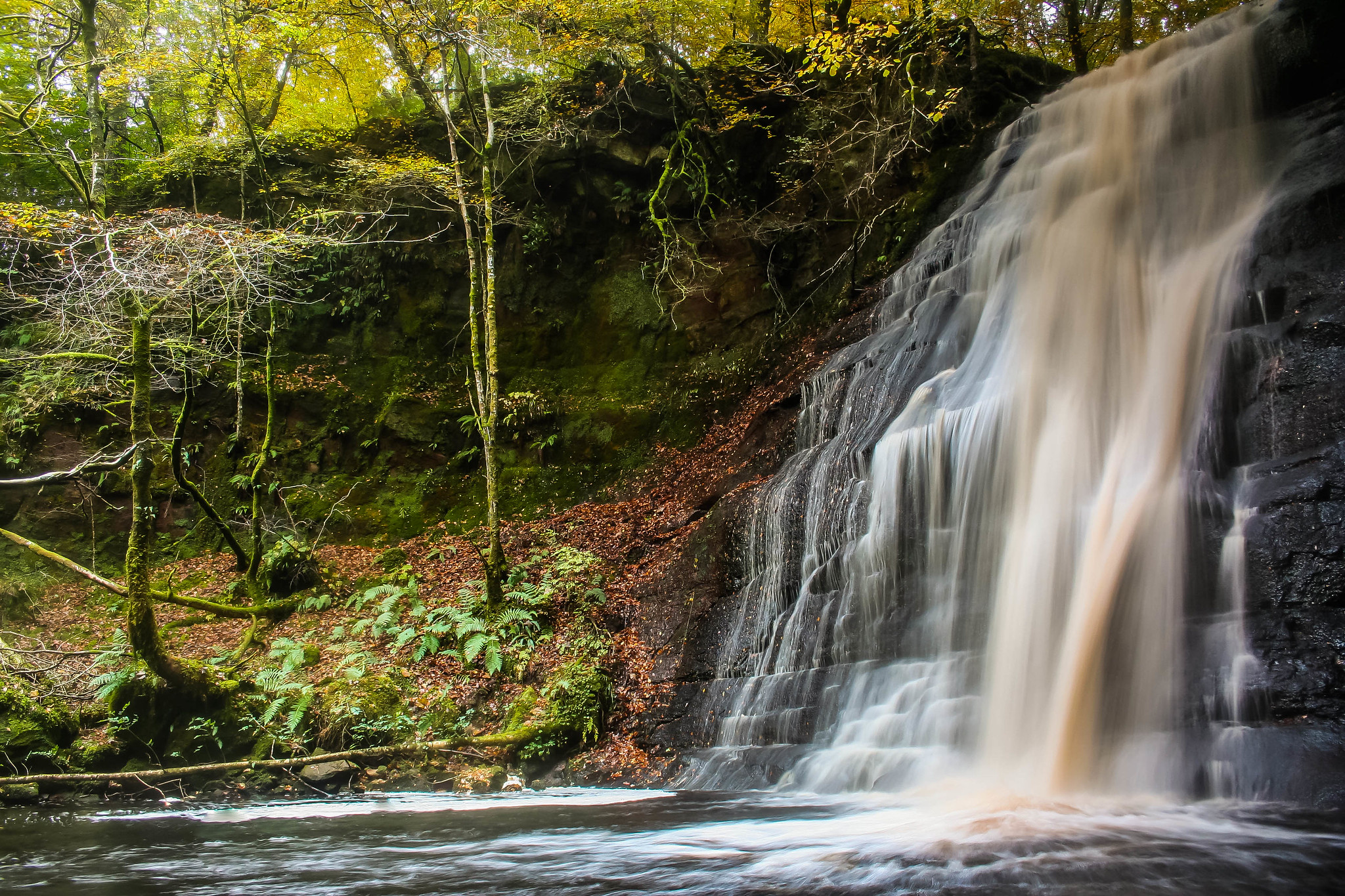 Free photo Artificial waterfall in the forest