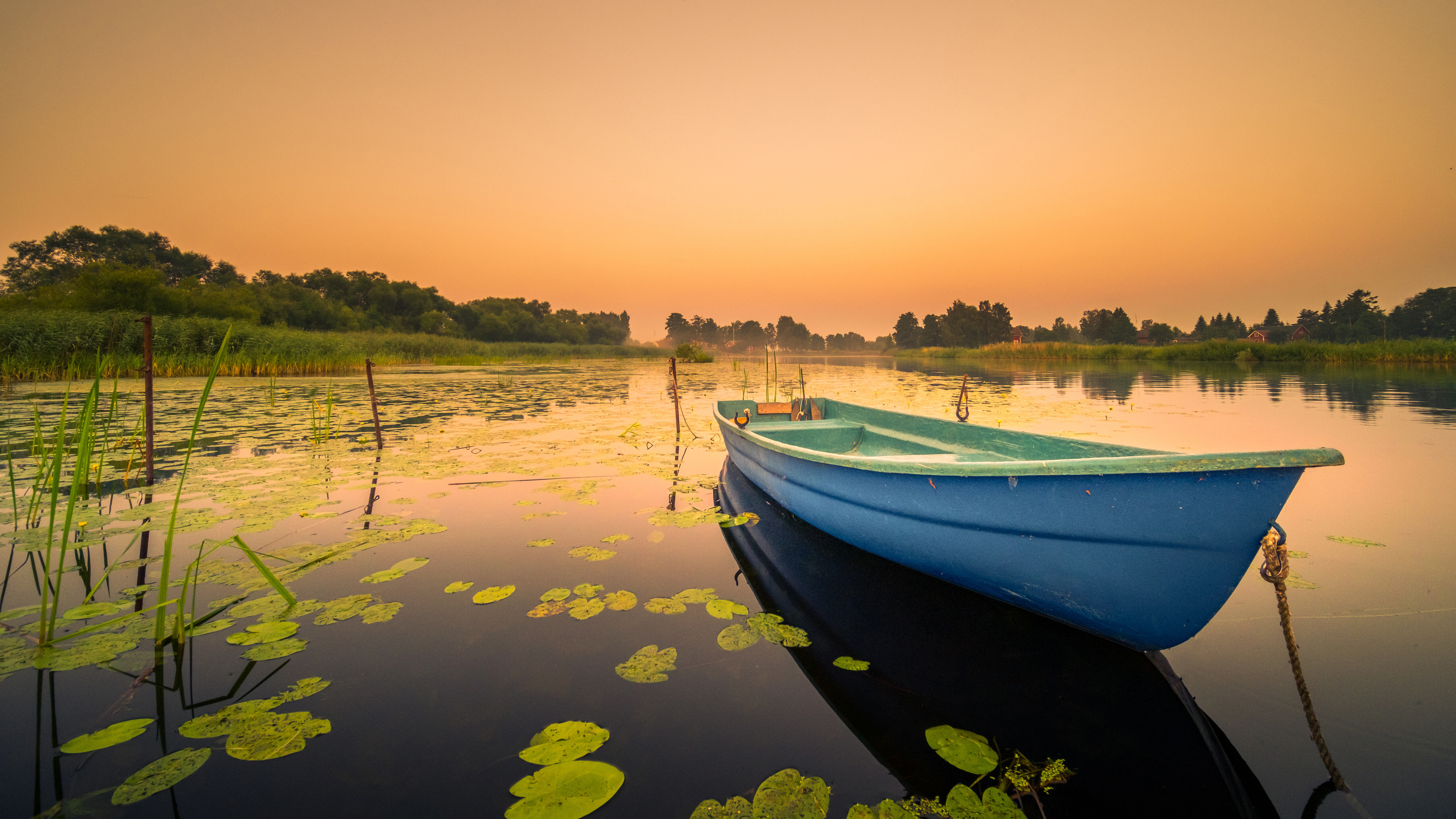 Free photo An old boat in the reeds