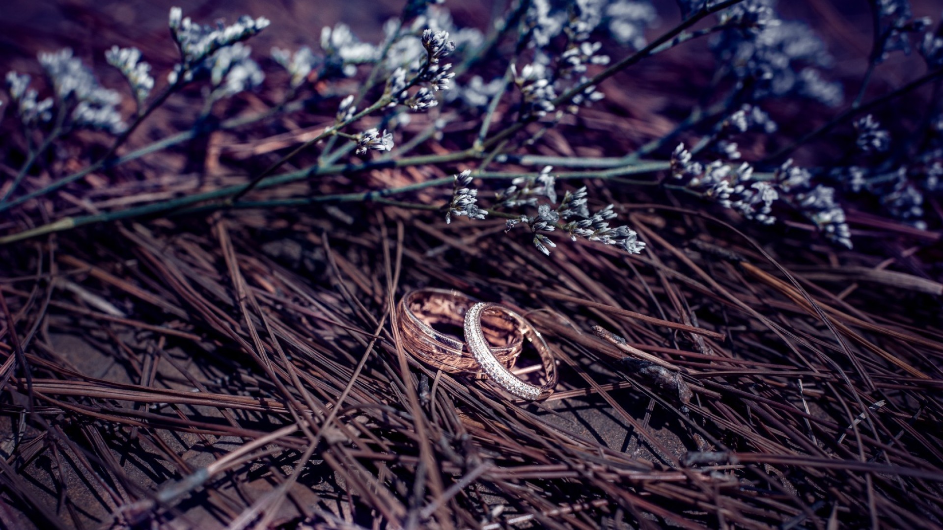 Бесплатное фото Два обручальных золотых кольца лежат на соломе