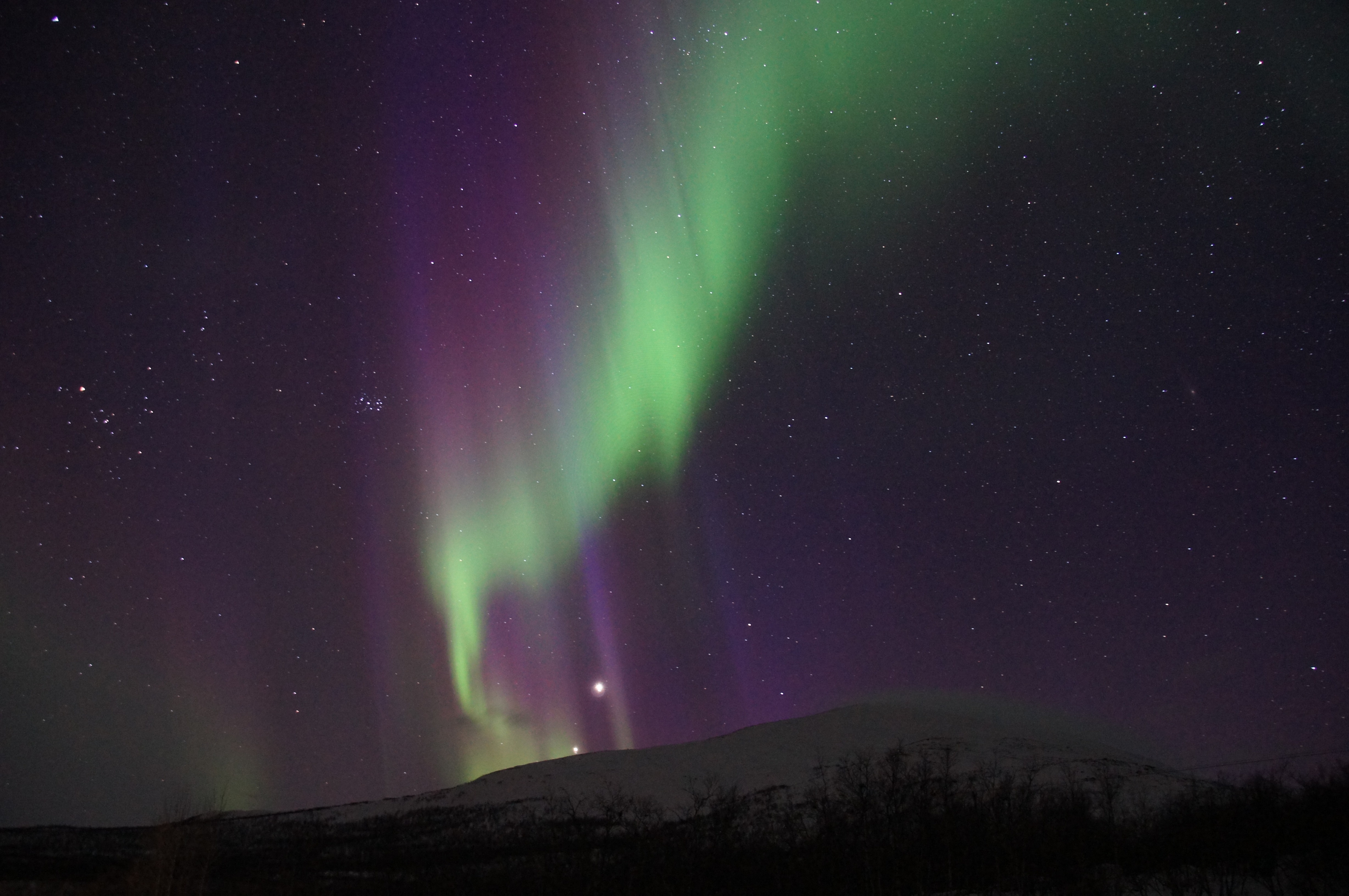 Free photo Aurora Borealis in the sky