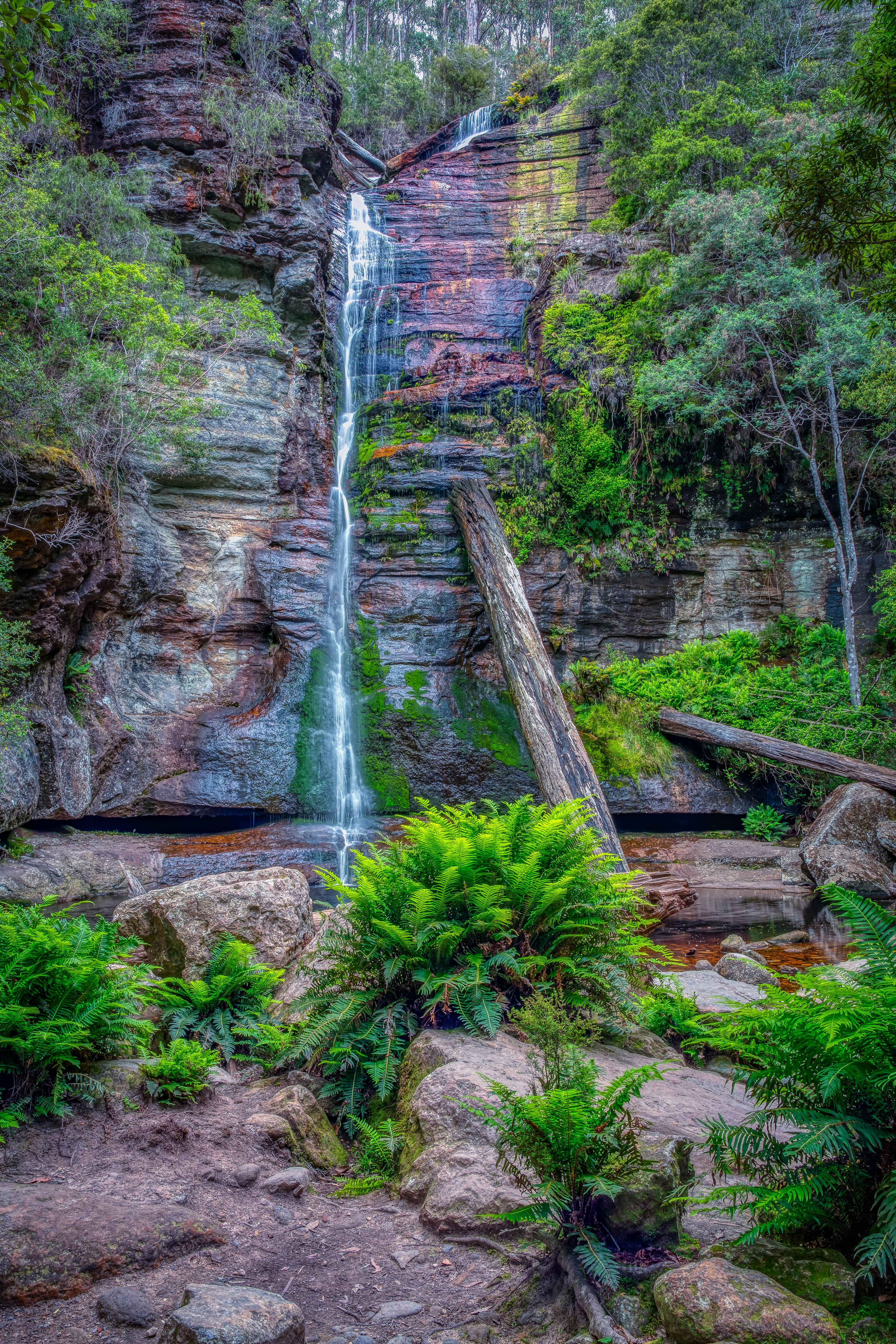 Wallpapers Tasmania Australia Snug Falls on the desktop