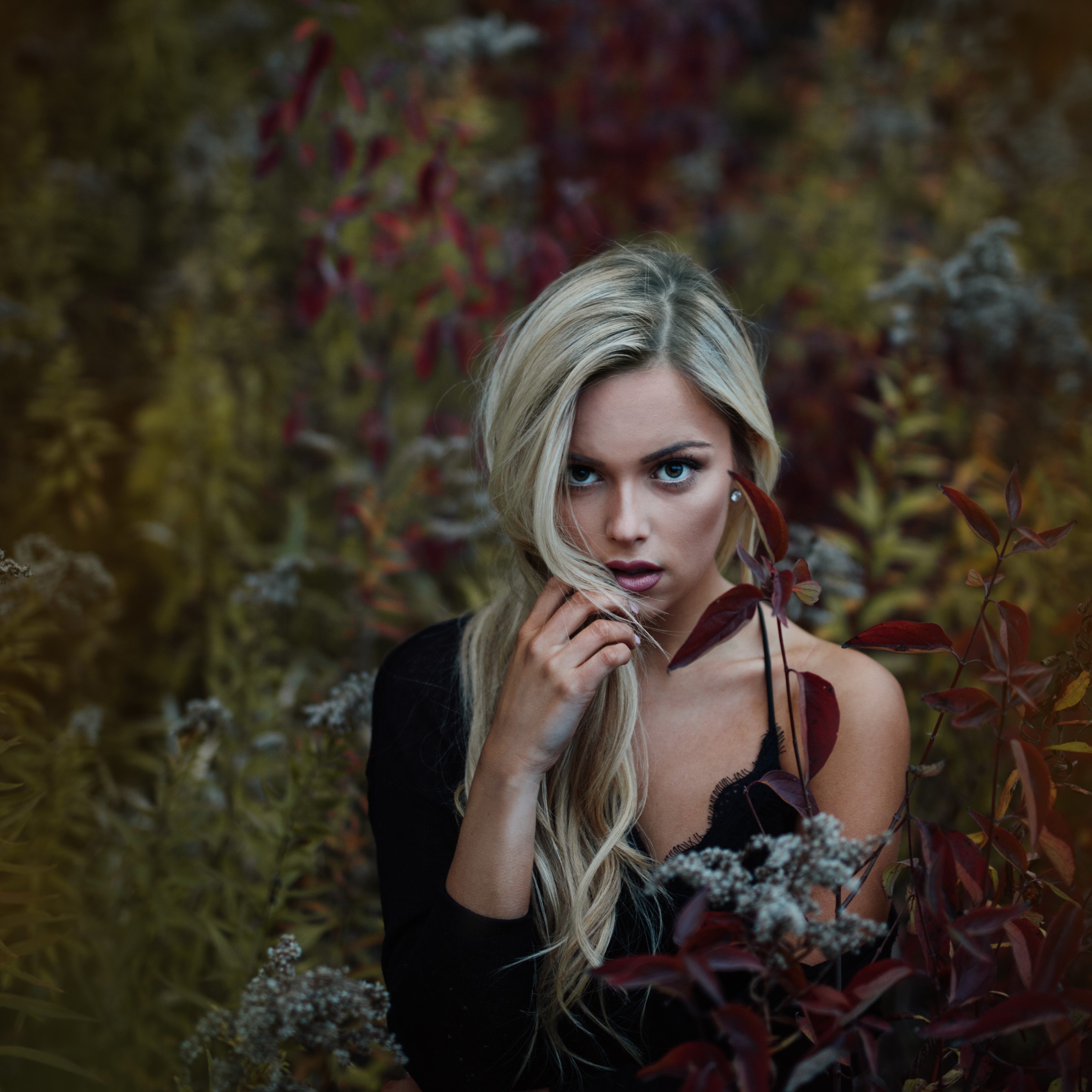 Обои каштановые волосы женщина портретная фотосъёмка на рабочий стол