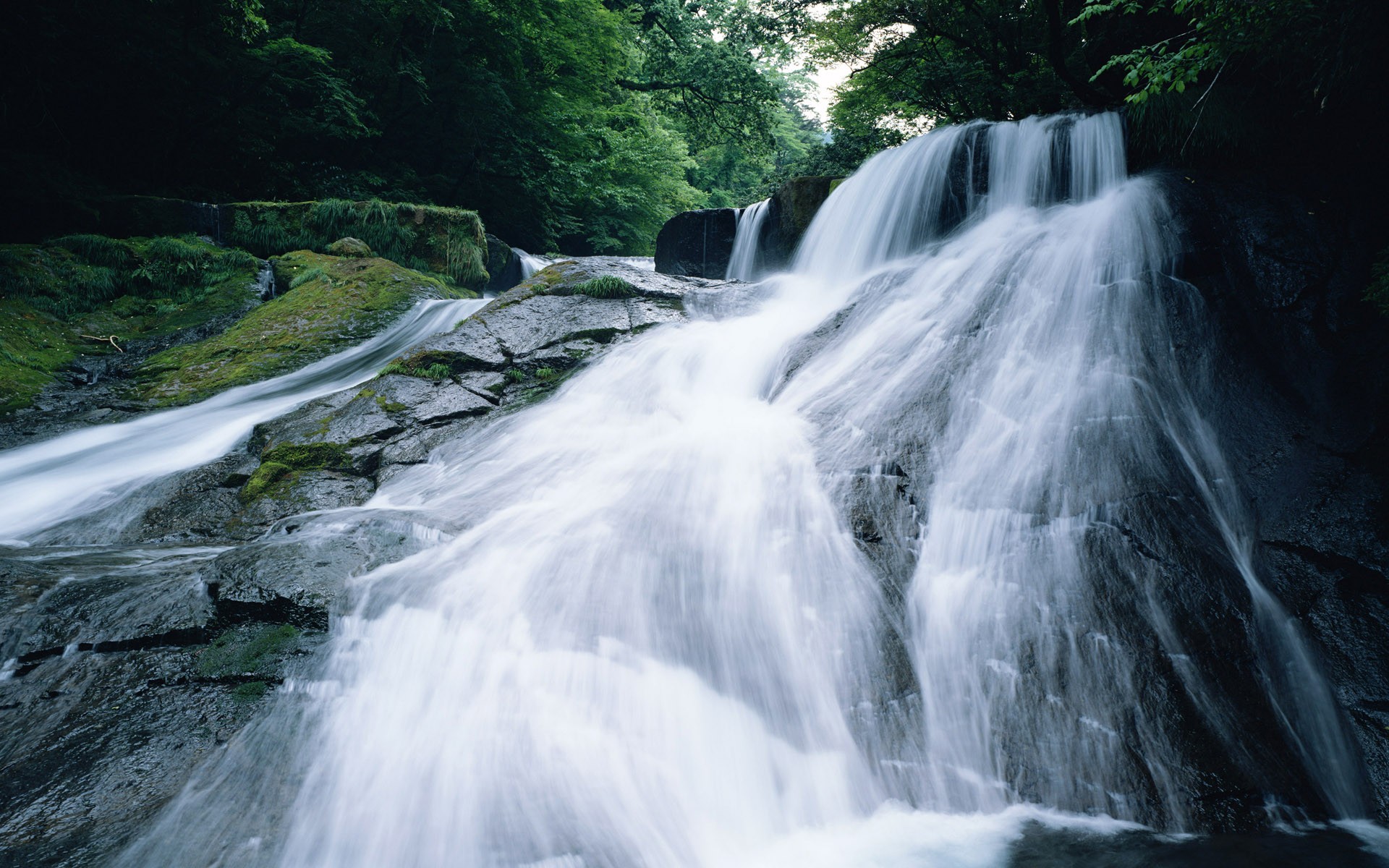 桌面上的壁纸流动 储存器 水