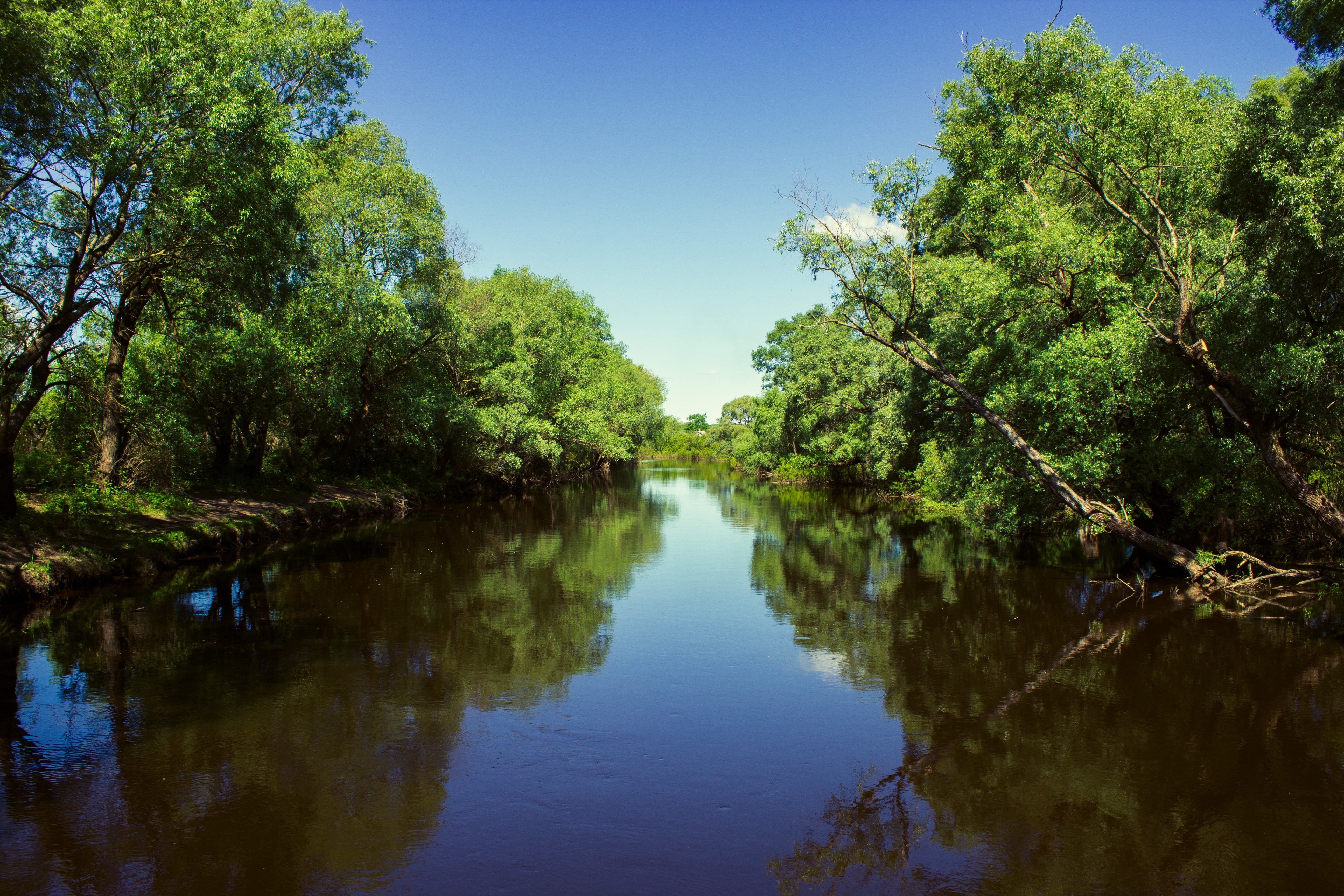 A wide river in a forested area